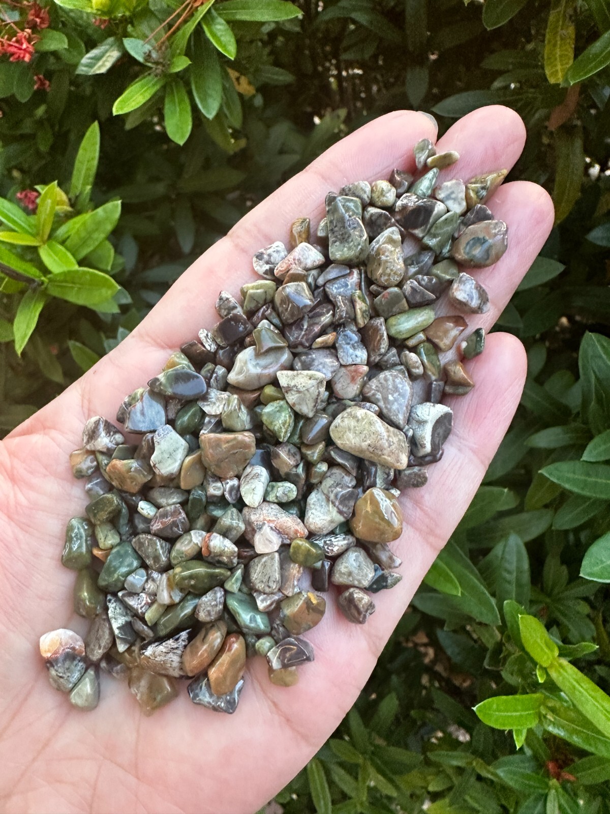 Grade A++ Rhyolite Semi Tumbled Gemstone Chips 3 – 9 mm, Wholesale Bulk Lot