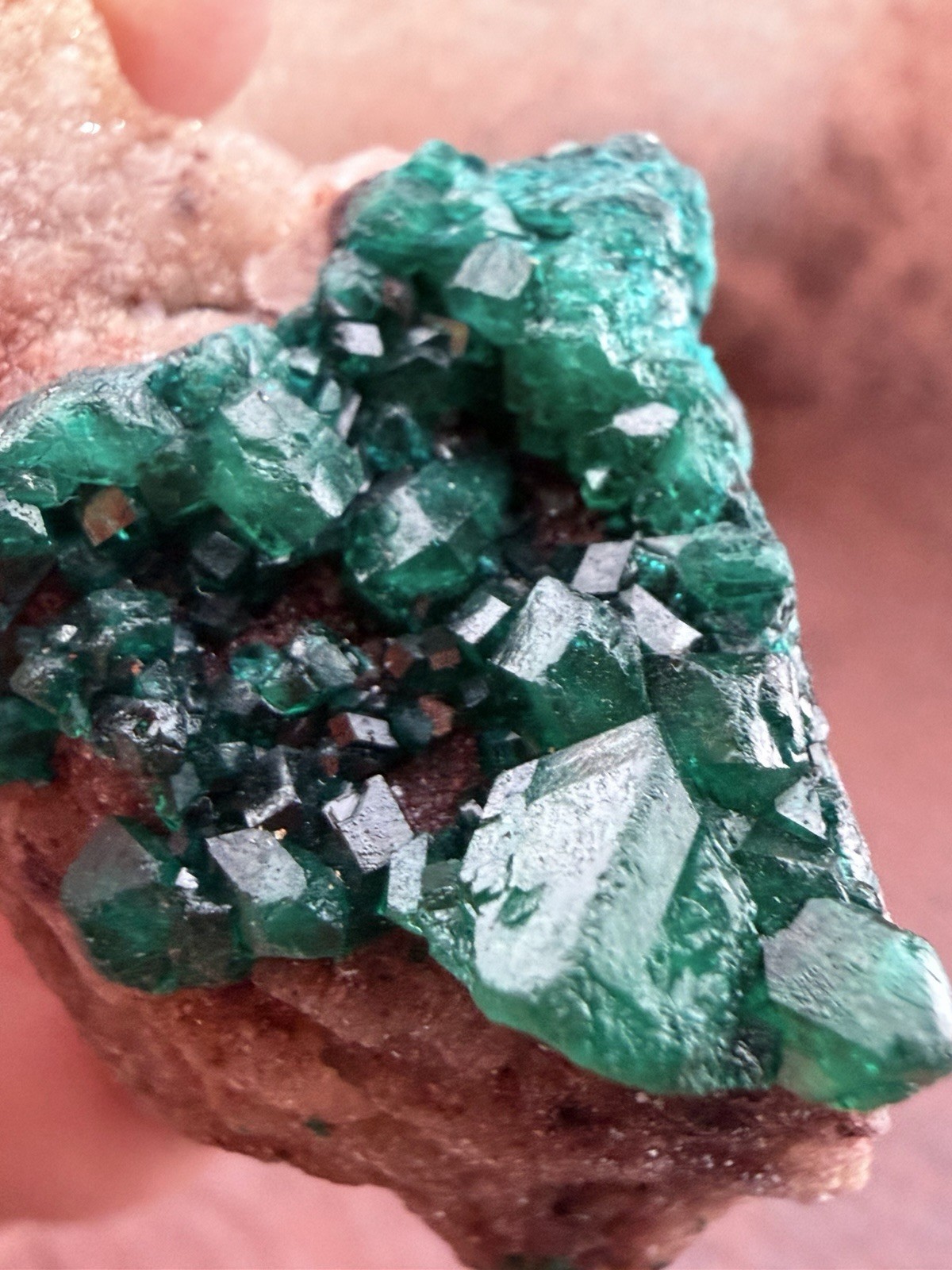 Emerald Green Dioptase Crystal Cluster from the Congo in Africa 22.6 g.