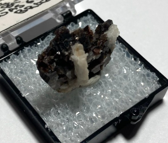 Muscovite and Albite Thumbnail from Brazil