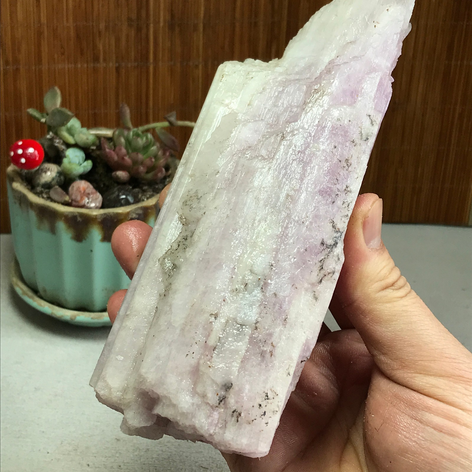 170-78-40mm NATURAL ROUGH KUNZITE PINK SPODUMENE CRYSTALS 830g A4613