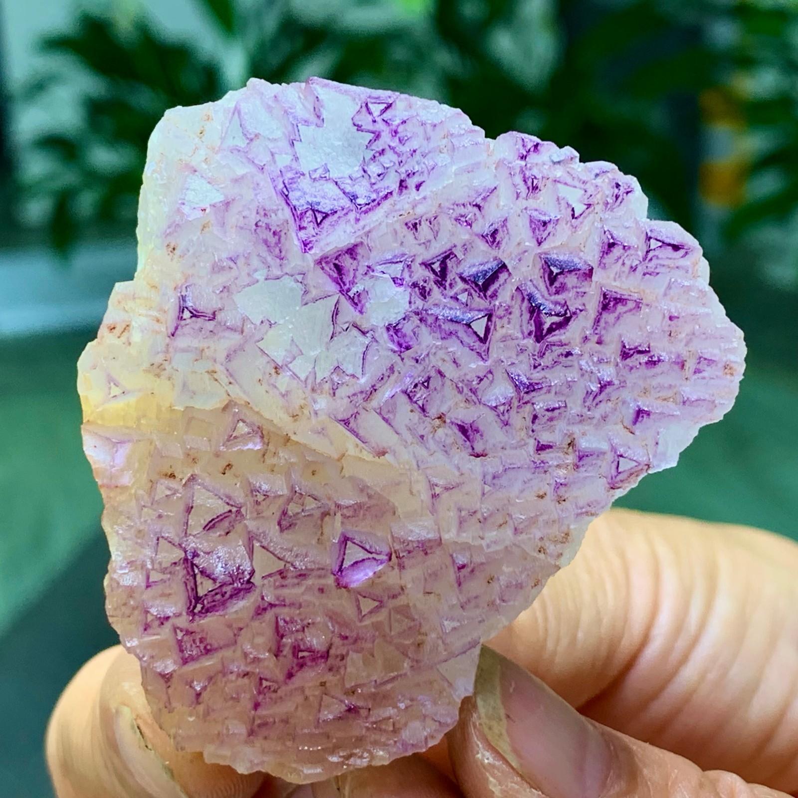 100G Natural fluorite purple edged cubic crystal mineral sample