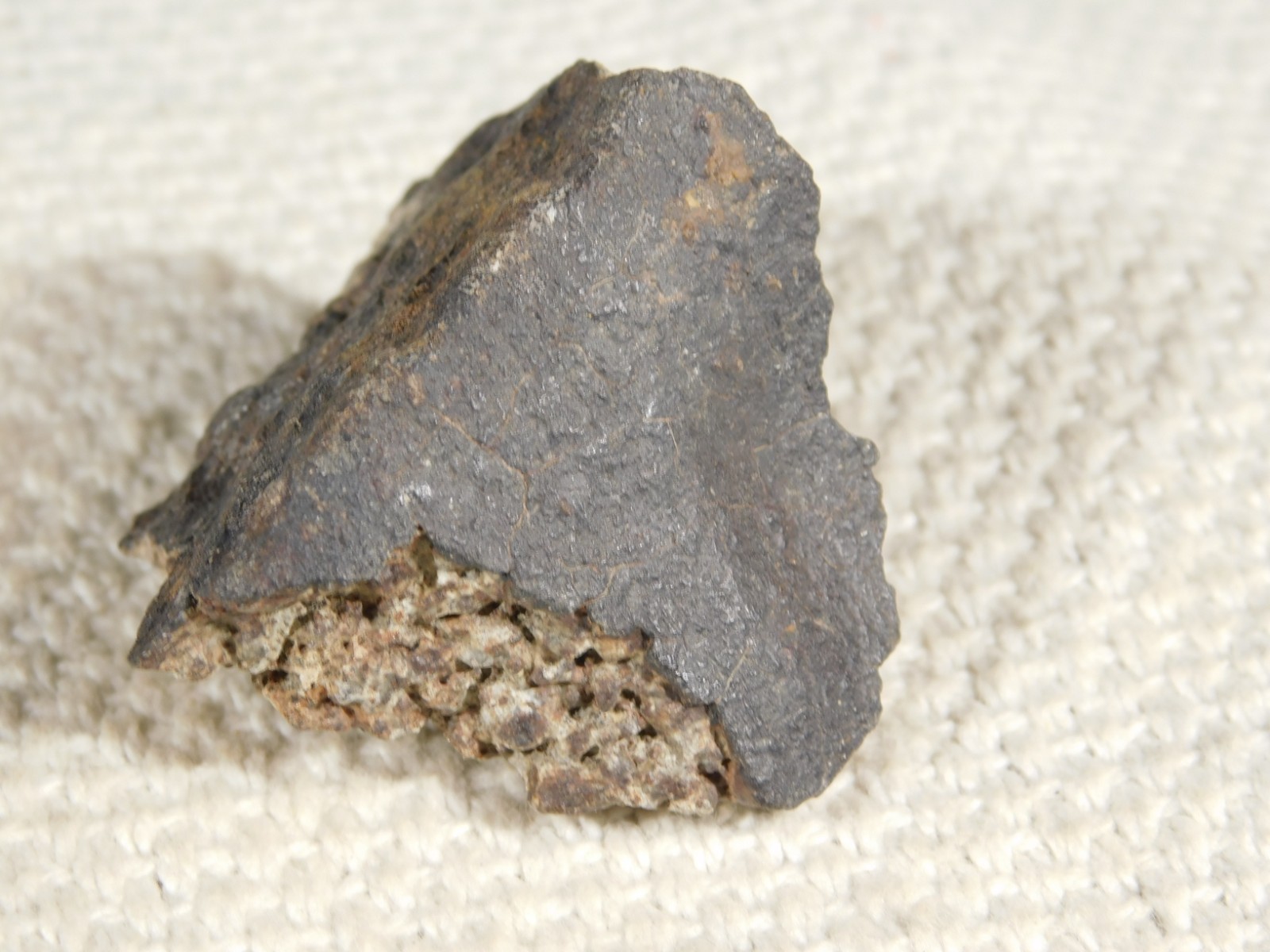 Classified NWA 8245 METEORITE 100% Natural FELL on Erfoud, Morocco 47.3gr