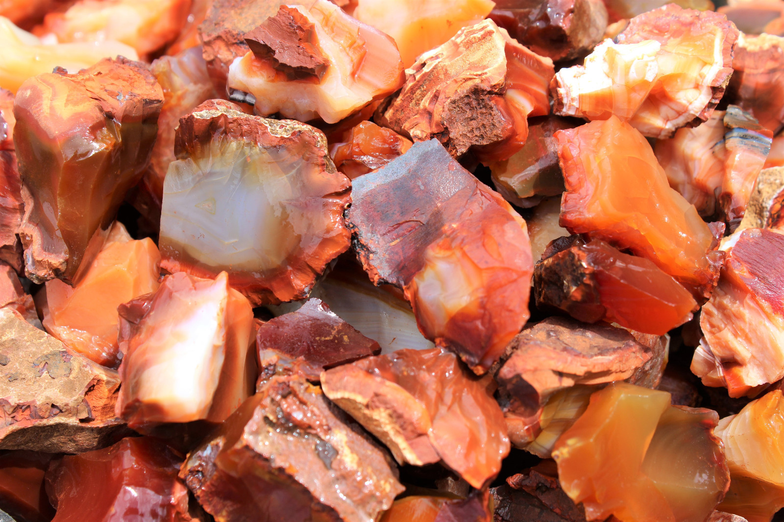 5 lb Bulk Lot Natural Rough Carnelian (Raw Stone Crystal Tumbling, MADAGASCAR)