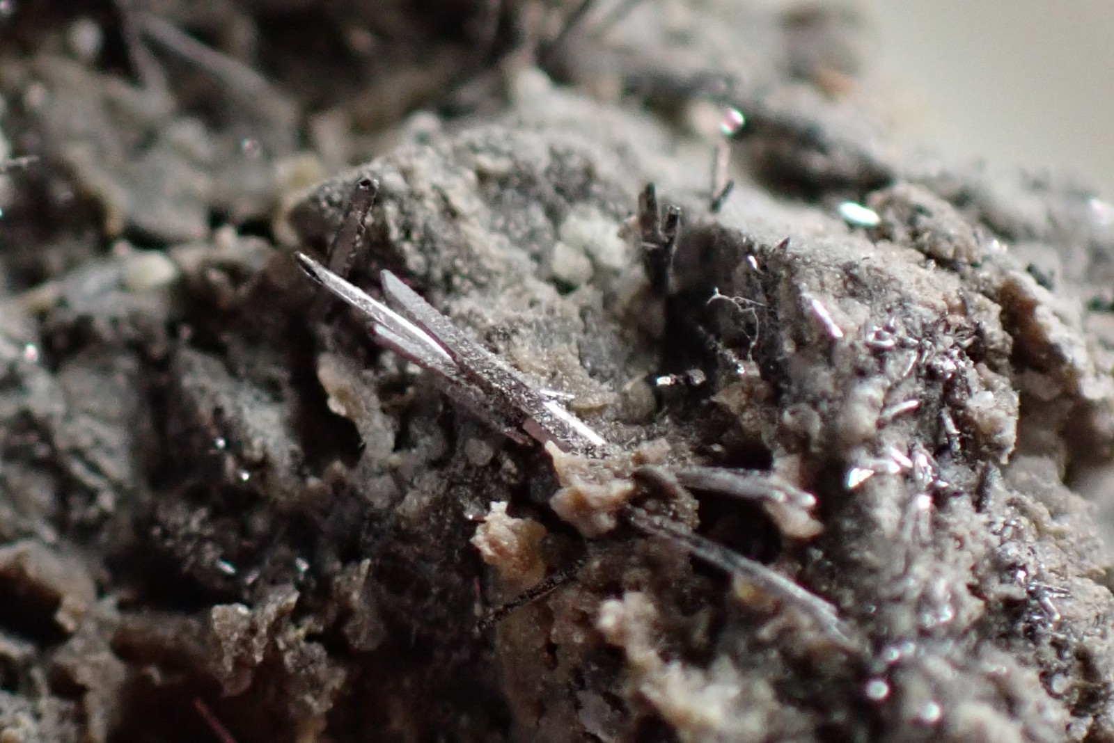 SELENIUM * CRYSTALS ON MATRIX * VERY RARE !!! Radvanice, CZECH REPUBLIC