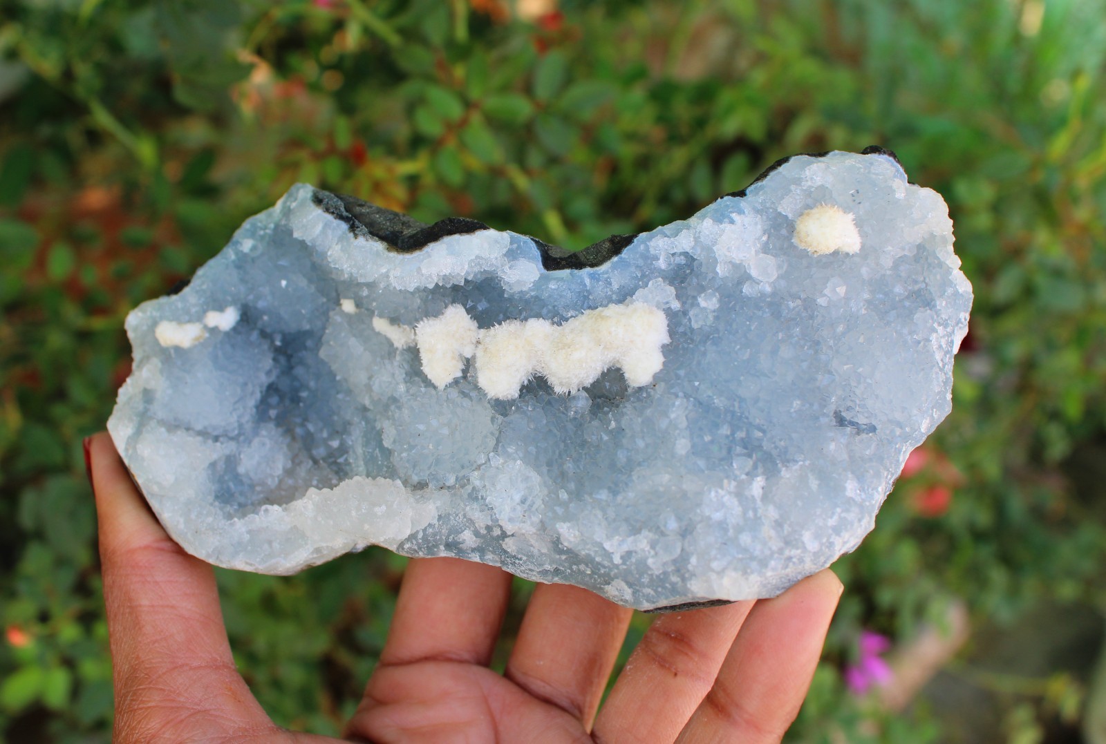 Okenite Balls On Blue Chalcedony Coral Matrix Minerals Specimen #O1