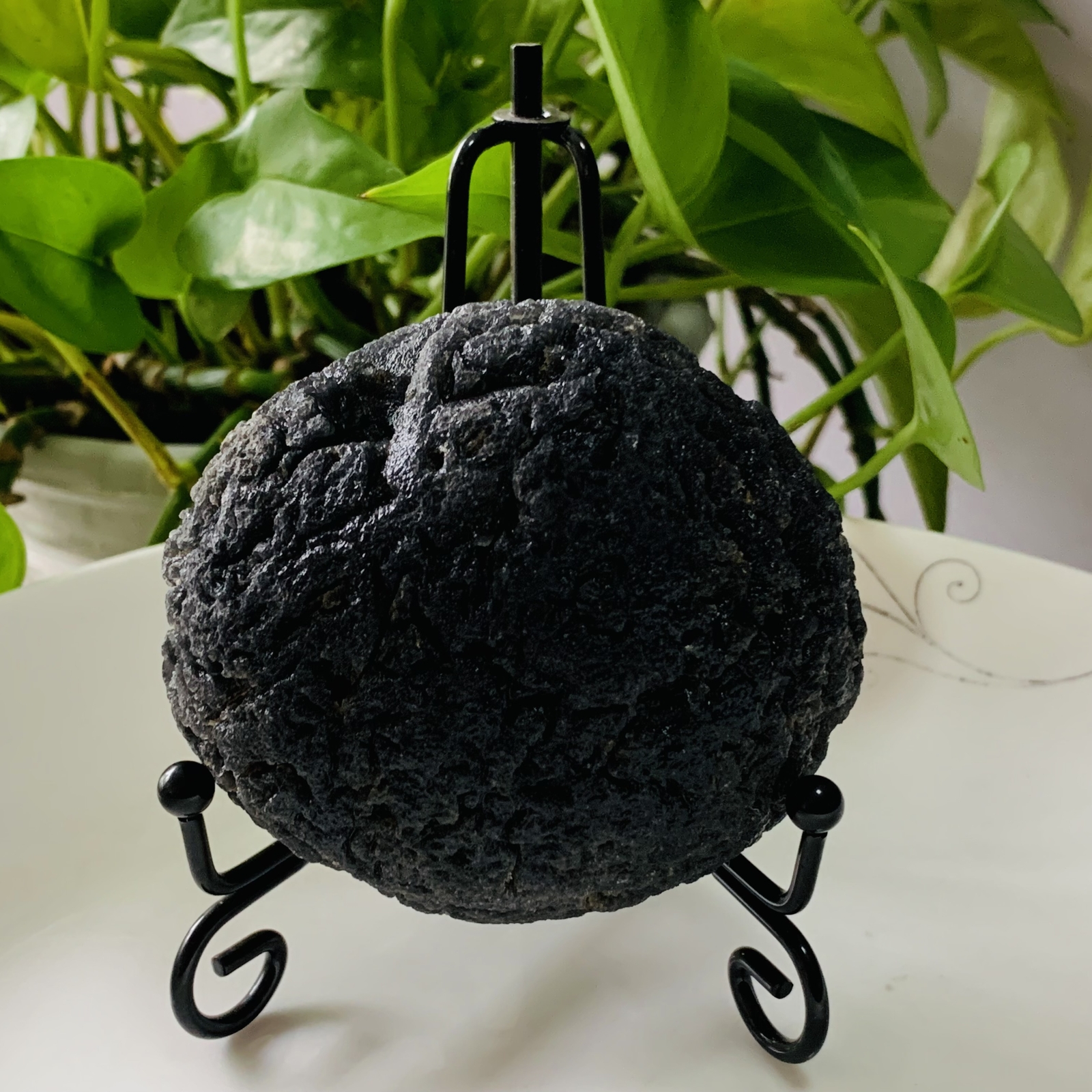 TOP 286g Natural Carbonaceous Chondrite Meteorite with Black reiki healing+stand