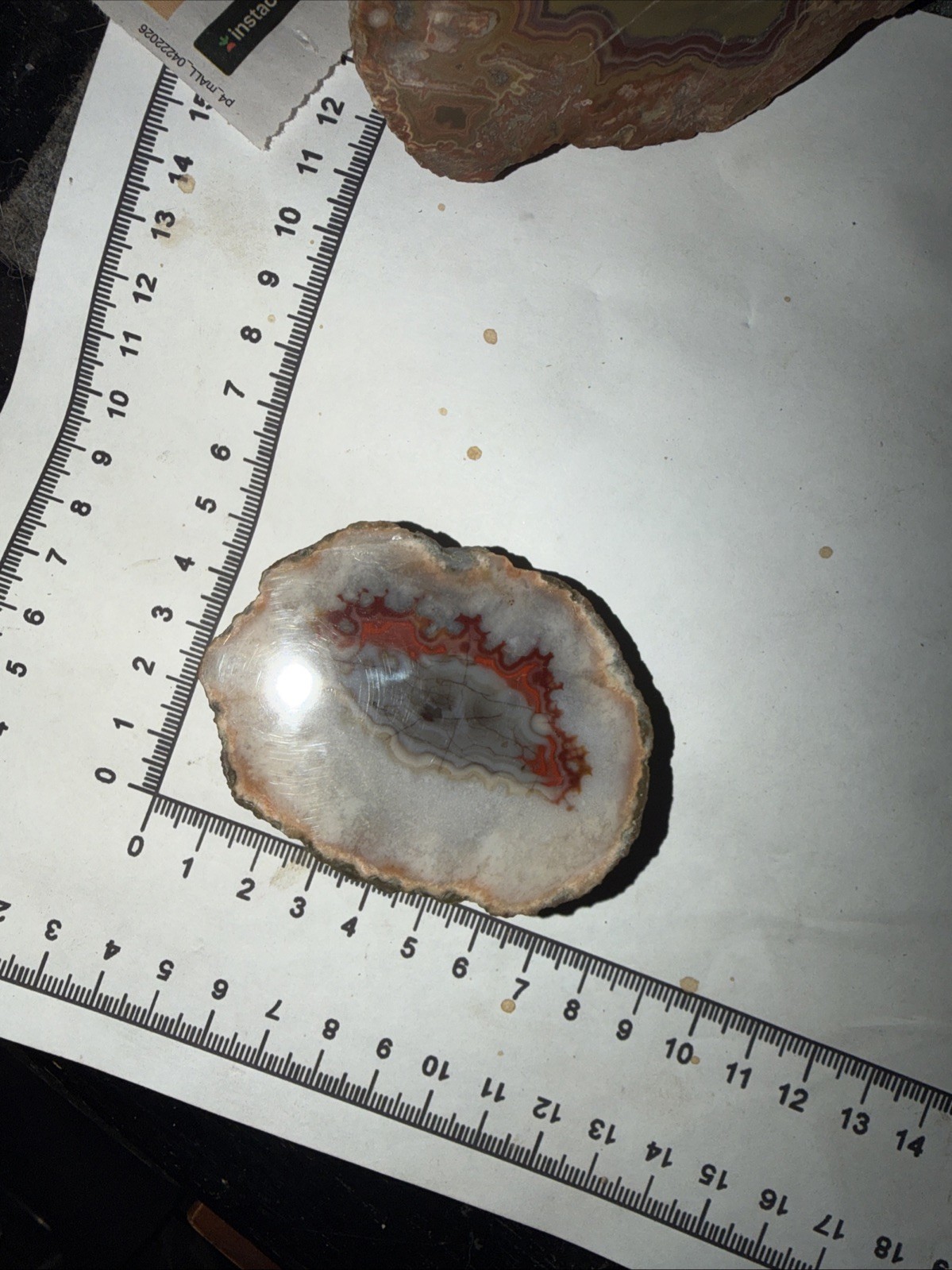 Imperial Kentucky Agate Specimen USA Red White And Blue Half Nodule Polished