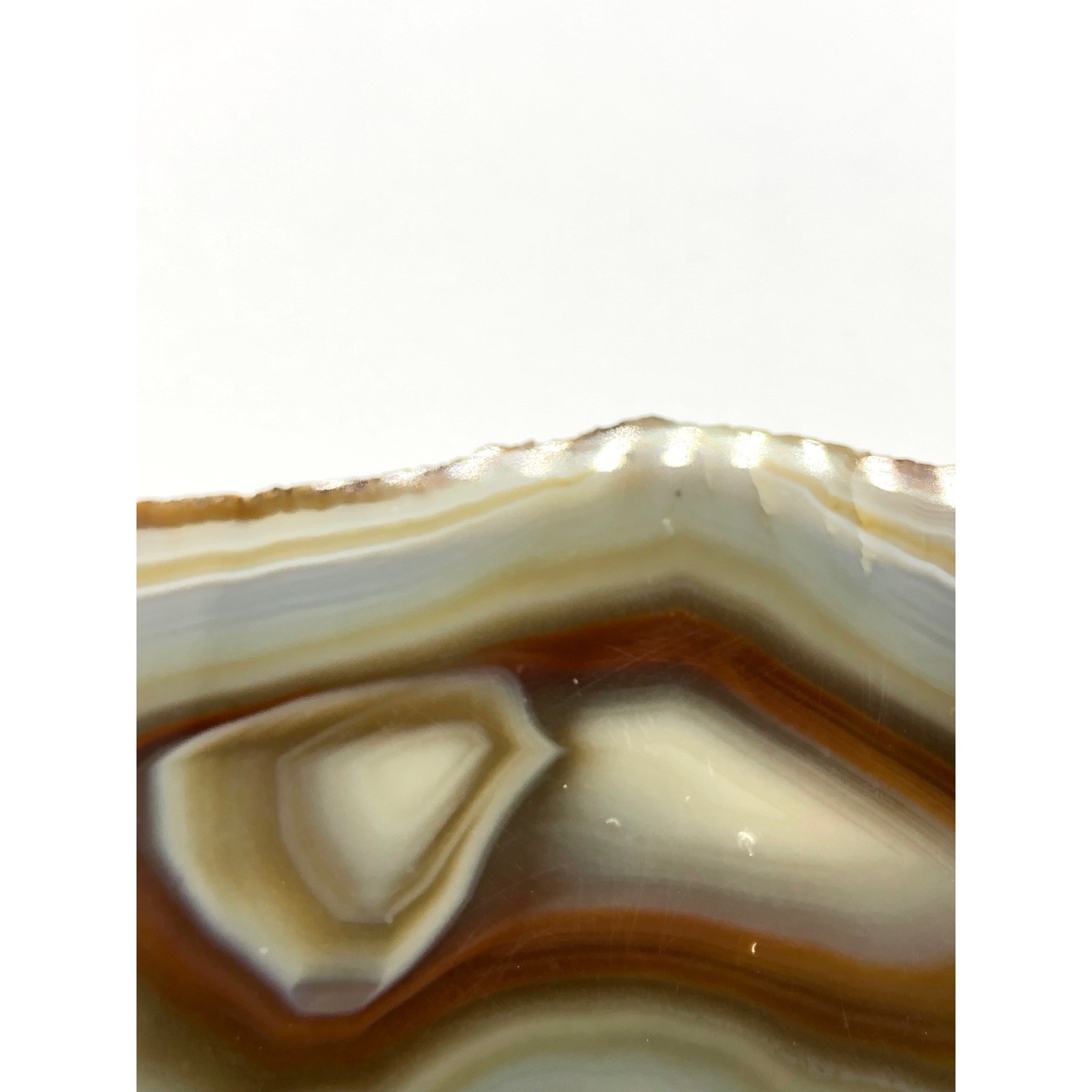 Natural Polished Banded Agate Slice Geode Specimen Brown Gray 5.25 Inch Decor