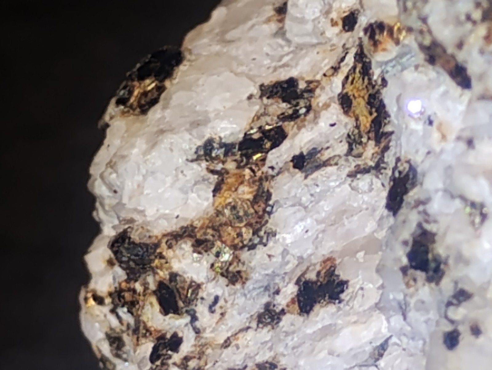 Polymetallic Ore Matrix Quartz, Pyrite & Silver/Black Sulfides – Blue Mountain?