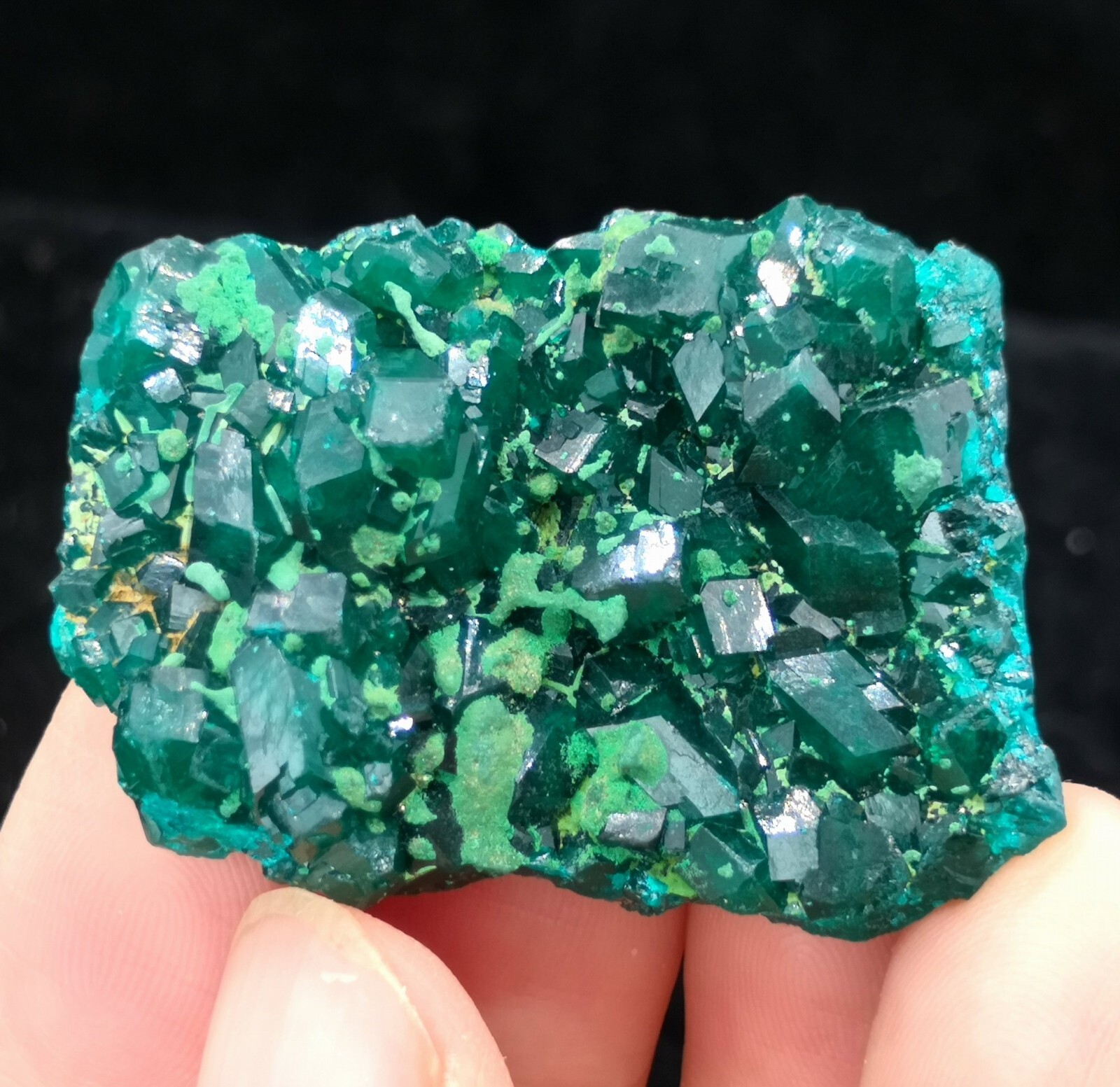 38mm Malachite on Gemmy Dioptase mined from Congo, Natural Mineral Specimen