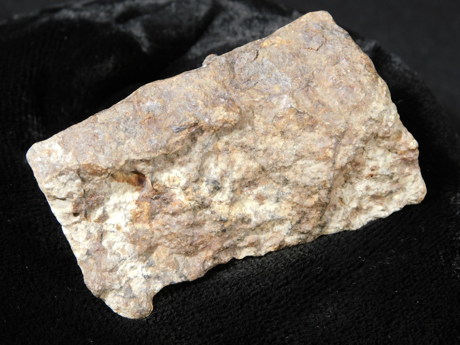 Classified NWA 8245 METEORITE 100% Natural FELL on Erfoud, Morocco 92.7gr