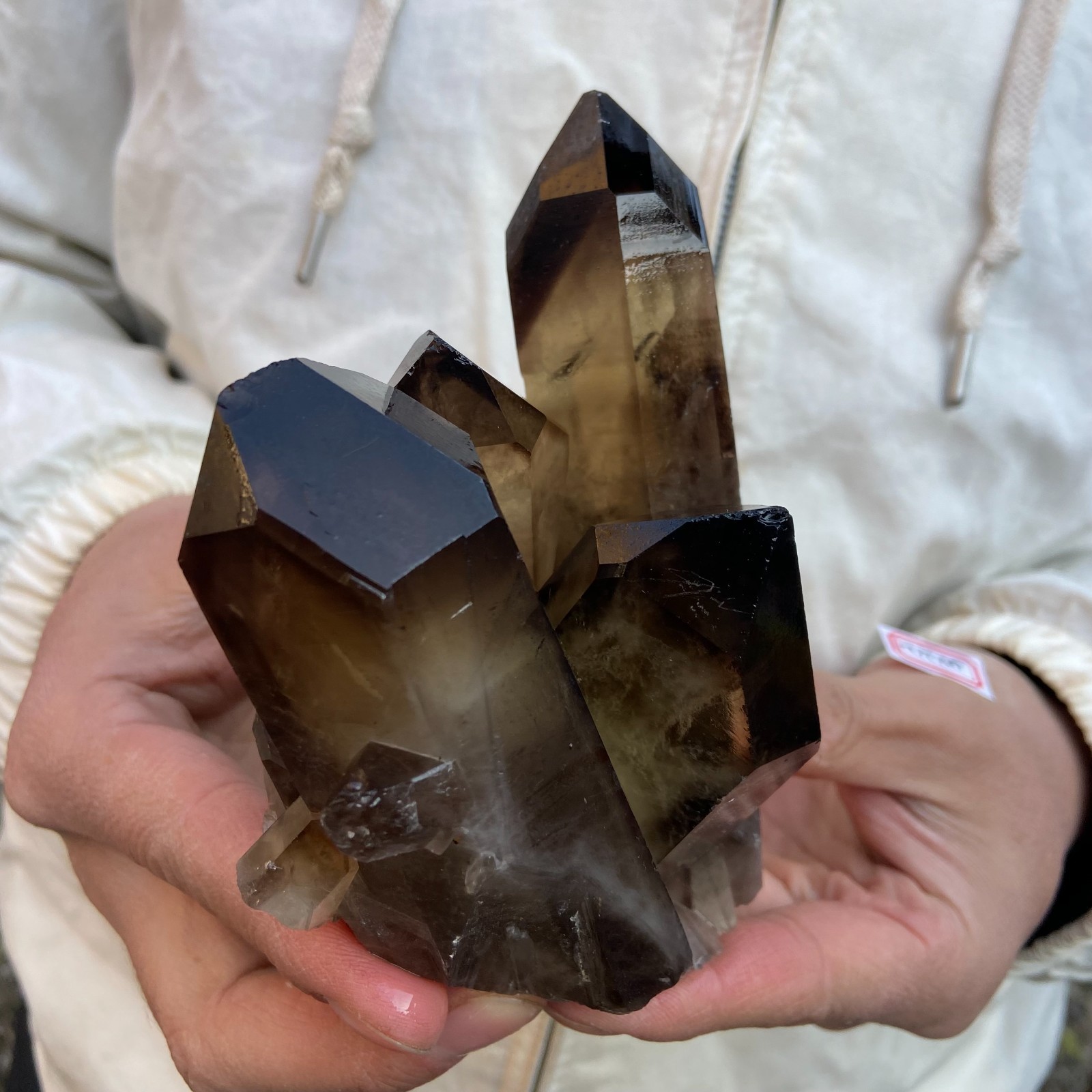 1.8LB Natural Smoky Black Quartz Cluster Crystal raw Specimen Healing
