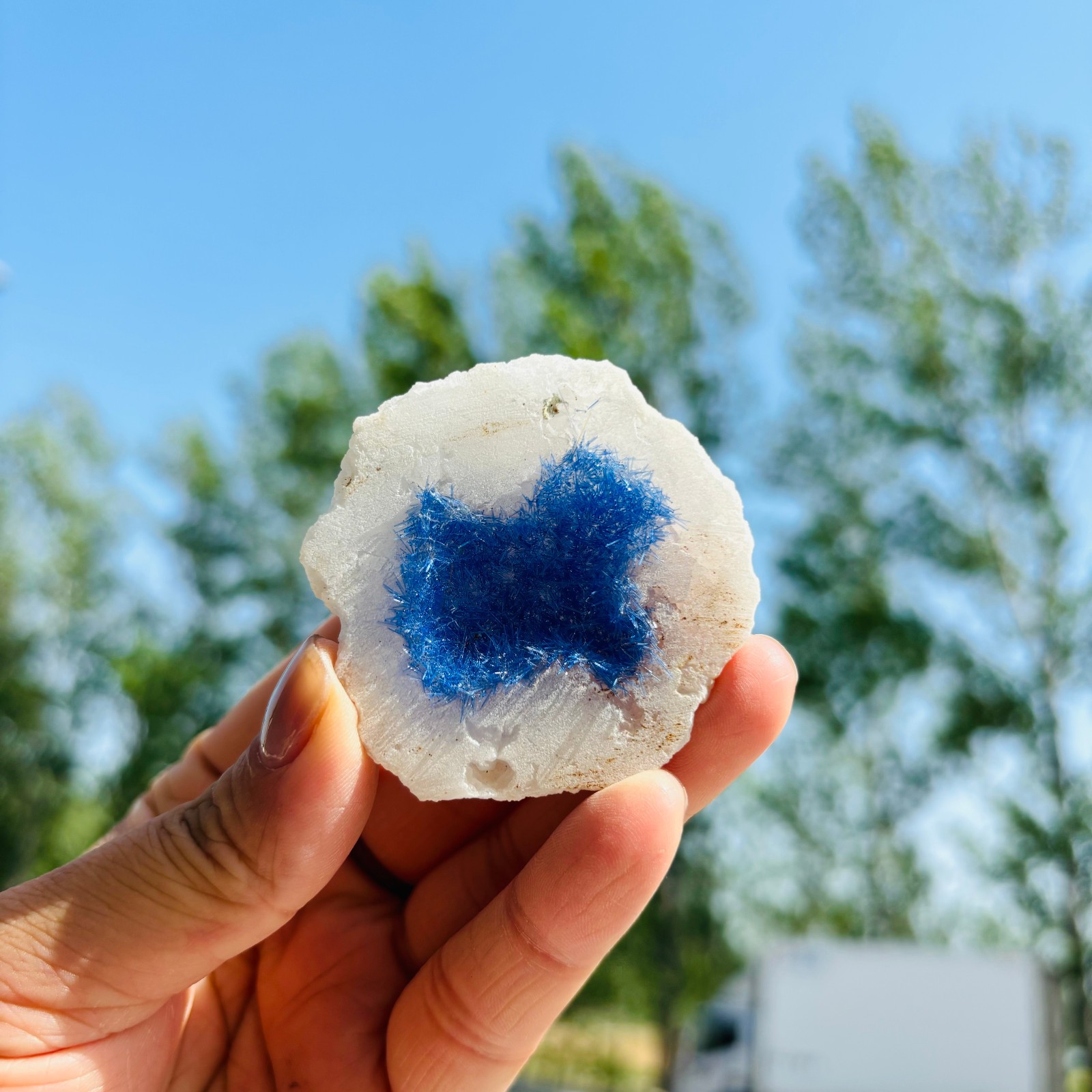 1pc Natural Agate Geode Quartz Crystal Energy Mineral Specimen Reiki Decor