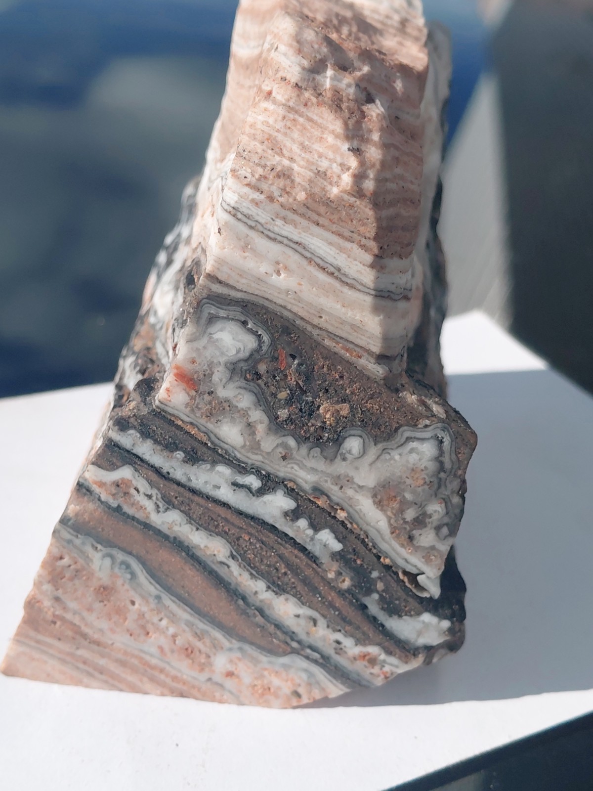 Zebra Calcite Self-Standing Display 1 1/4 Lb Dendritic Psychedelic Crisp Bands