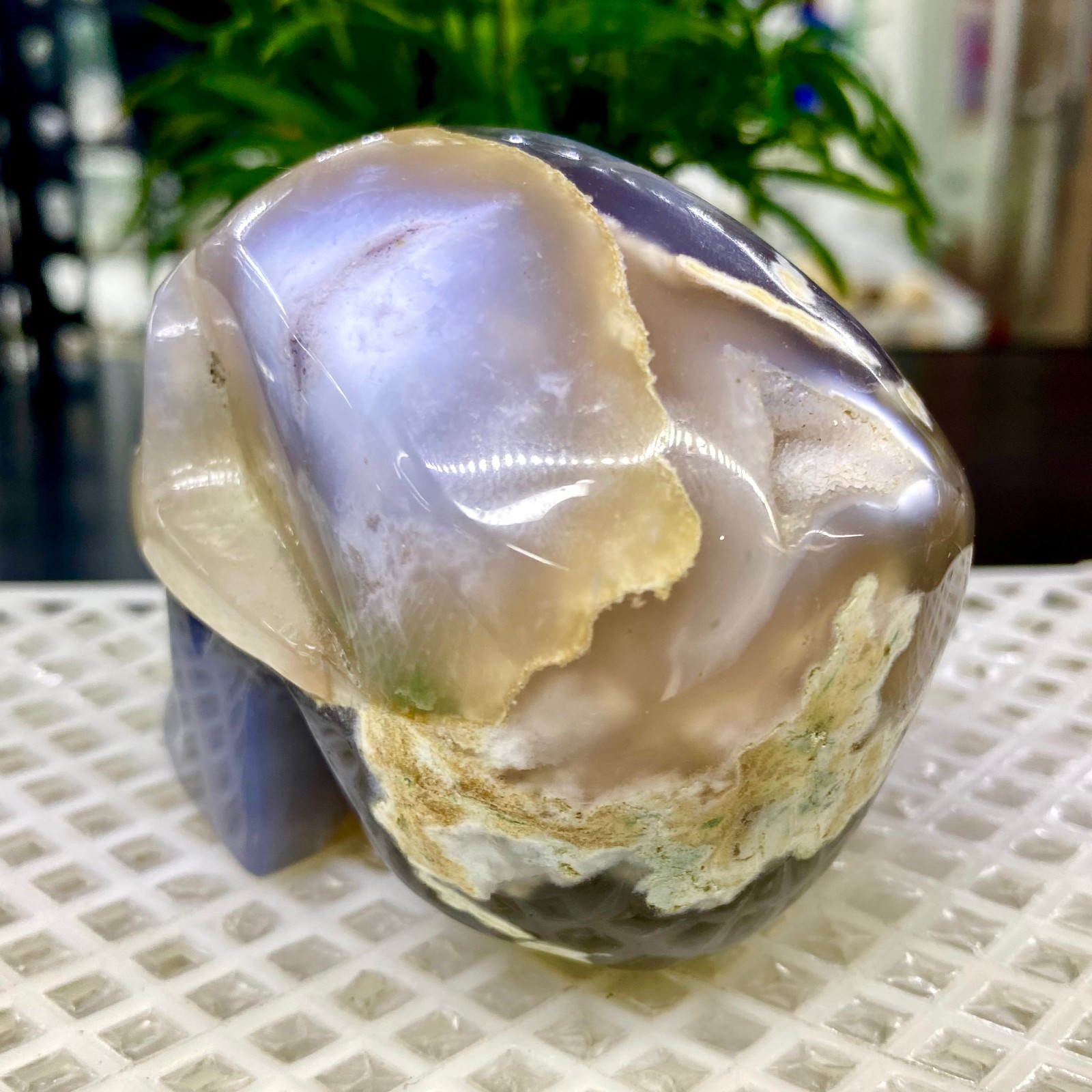465G Natural Crystal Rare Banded Blue Flower Agate Skull Carving