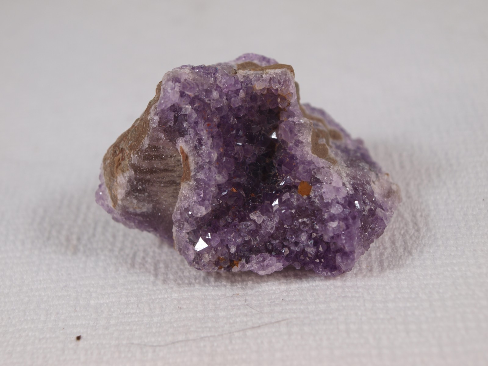 Thunder Bay Amethyst Crystal Pocket on Quartz – Self-Collected – 103.6 g