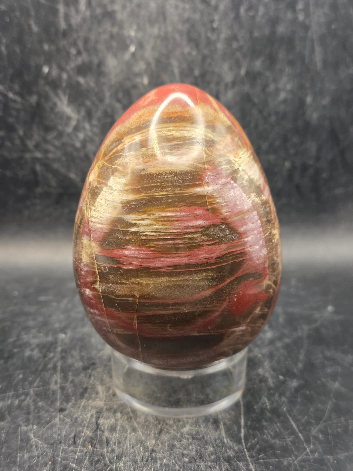 Petrified wood egg! 1.1 pounds, 3.4 inches tall, 2.5 wide