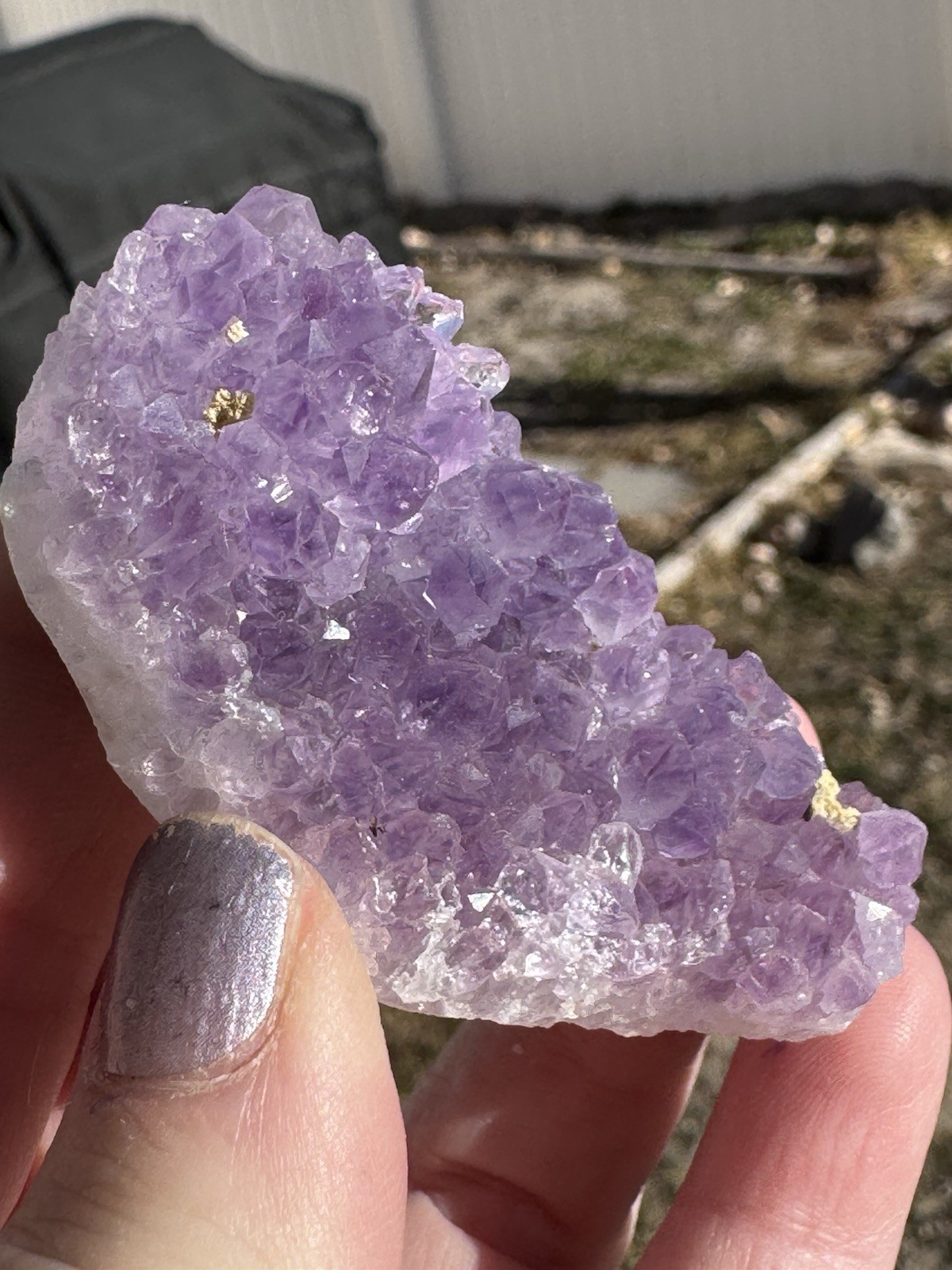 ✨Amazing African Amethyst Cluster