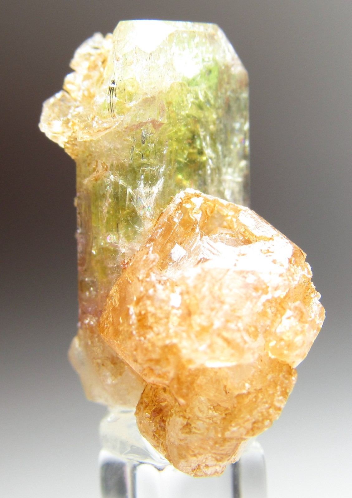 ELEGANT ULTRA RARE COMBO VESUVIANITE, GROSSULAR, DIOPSIDE!!! JEFFREY MINE CANADA