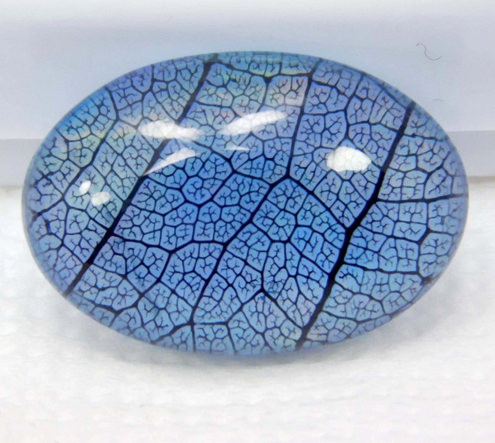 Oval IGL 7.85 Ct Natural Aurora Blue Fire Opal Doublet Rainbow Color Gems 5SJC
