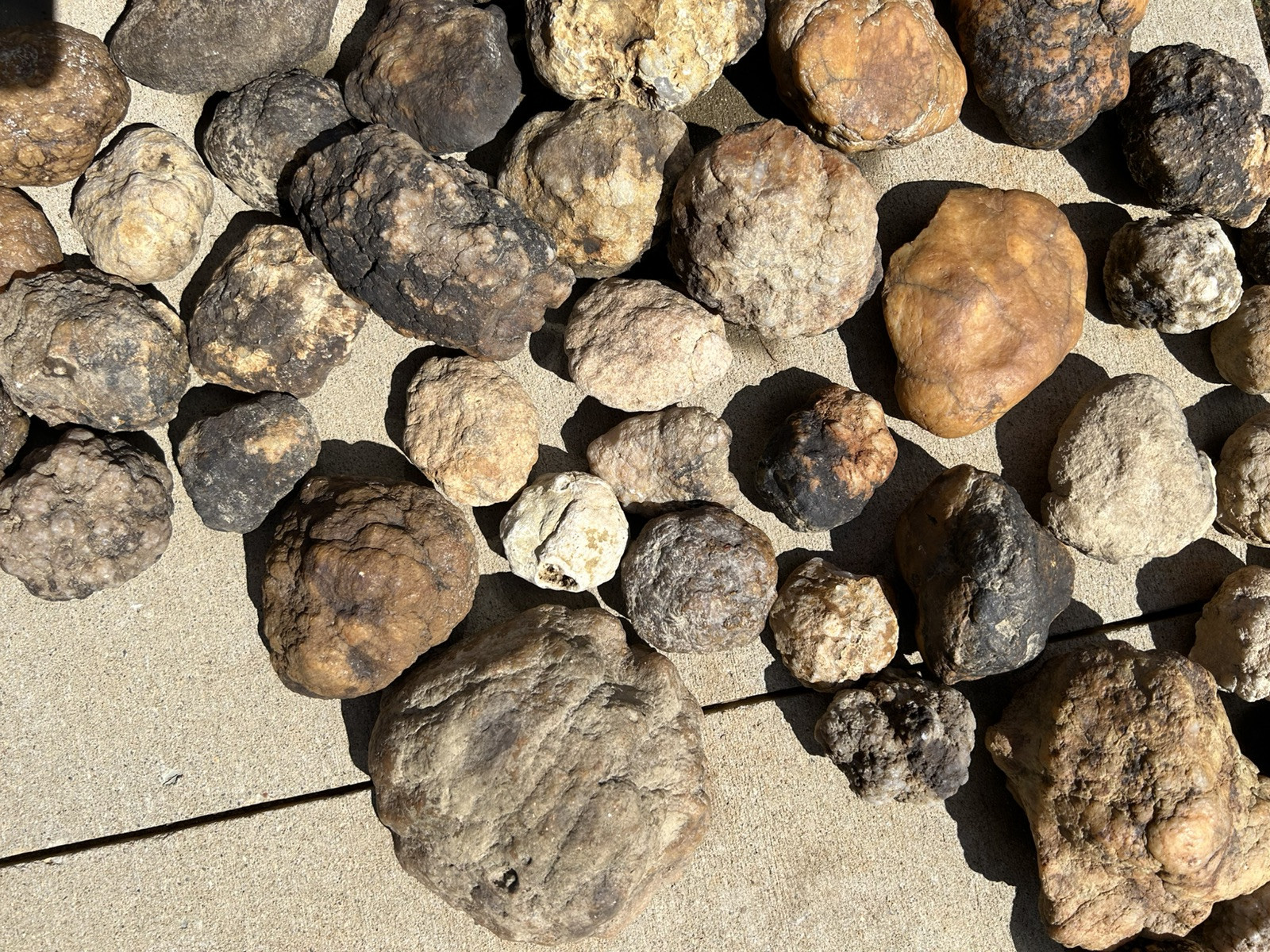 5 lbs Kentucky Natural Geodes Premium Quality Quartz Crystals Sale