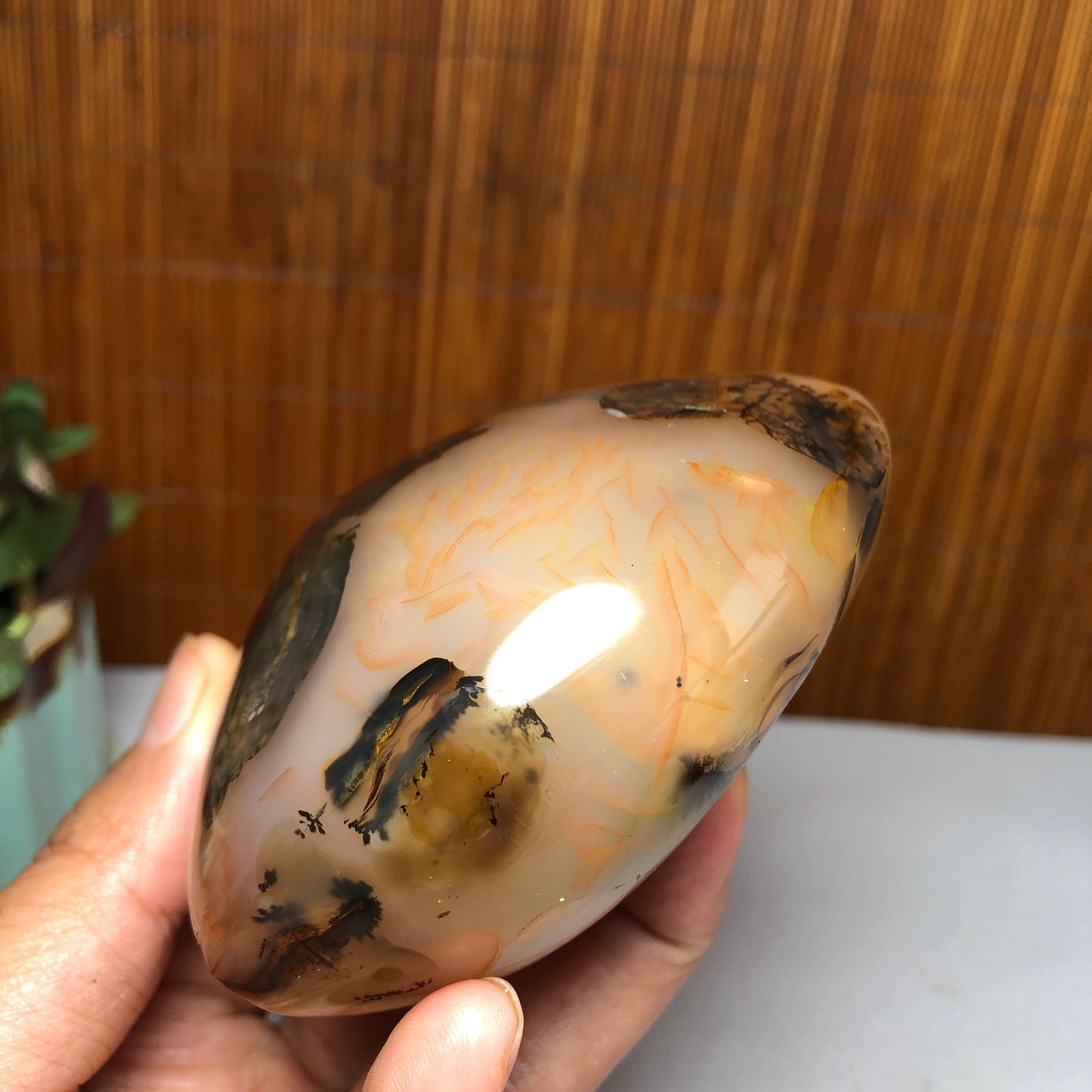 Natural aquatic plants agate pretty Crystal specimens free standing 331g A9998