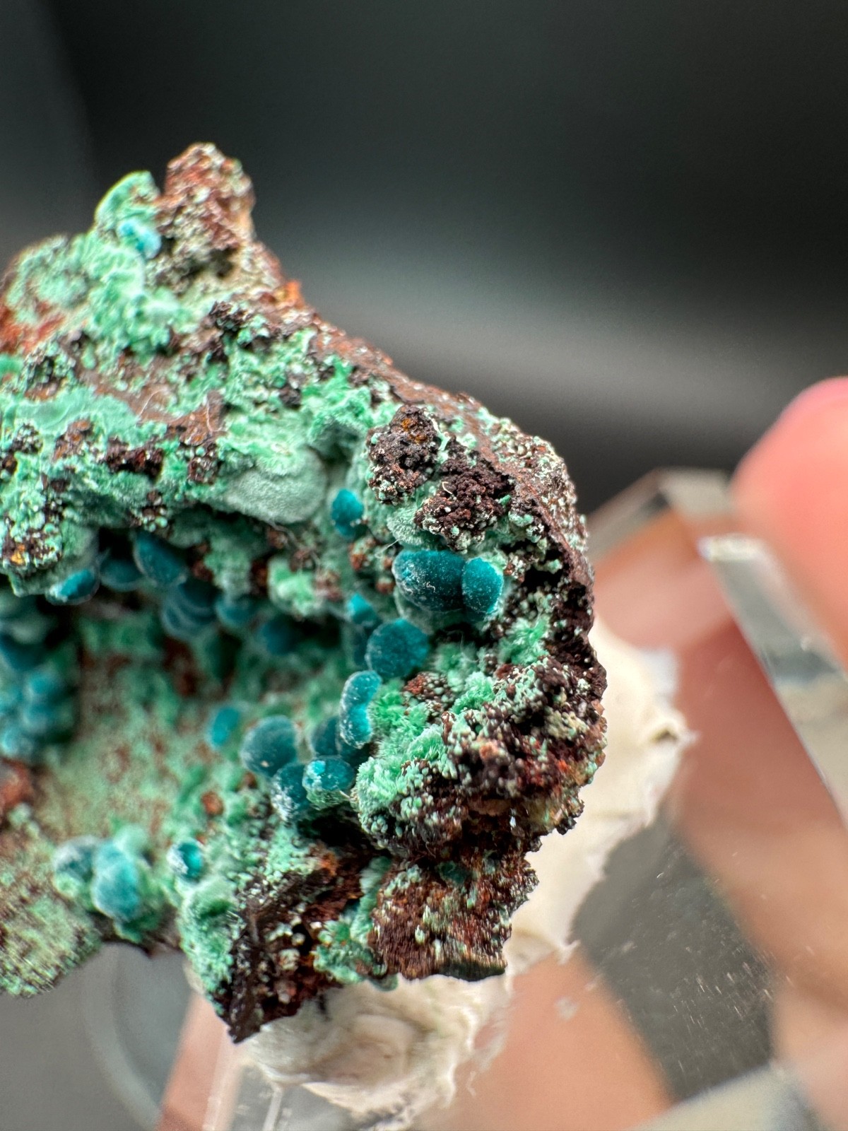 6757 Rosasite and Malachite on Matrix in Perky 8g Ojuela Mine, MX