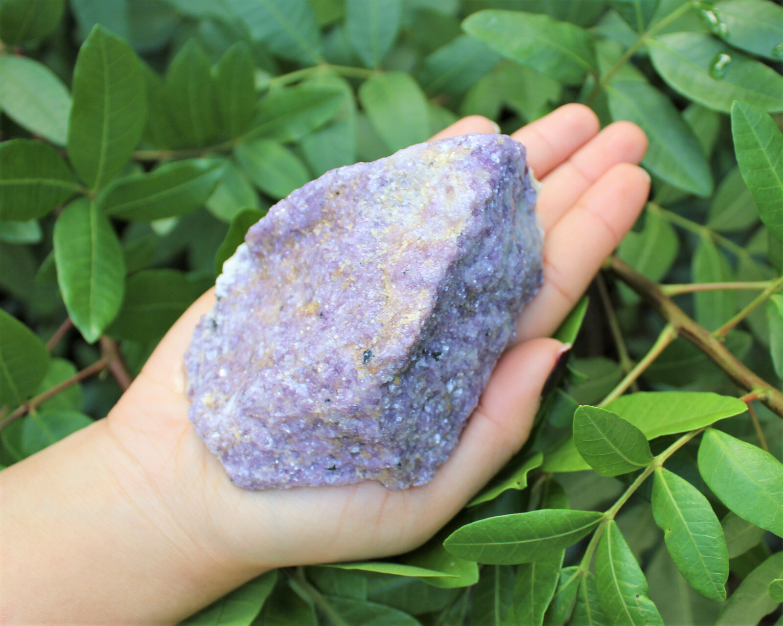 JUMBO Rough Lepidolite: 3″ – 5″ Huge Raw Natural Lepidolite Healing Crystals