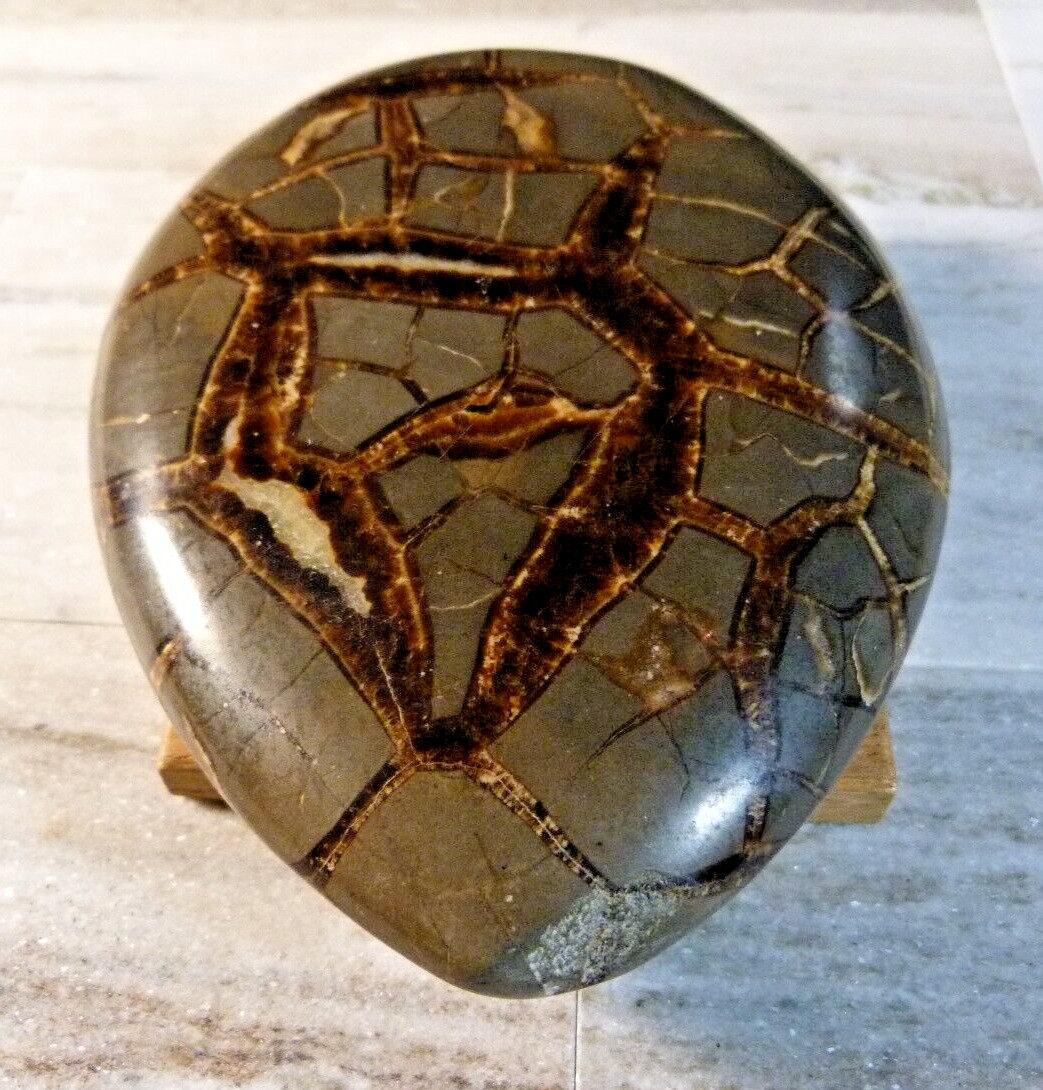 Natural Polished Septarian Geode Crystal 700g 5 1/4 Inches