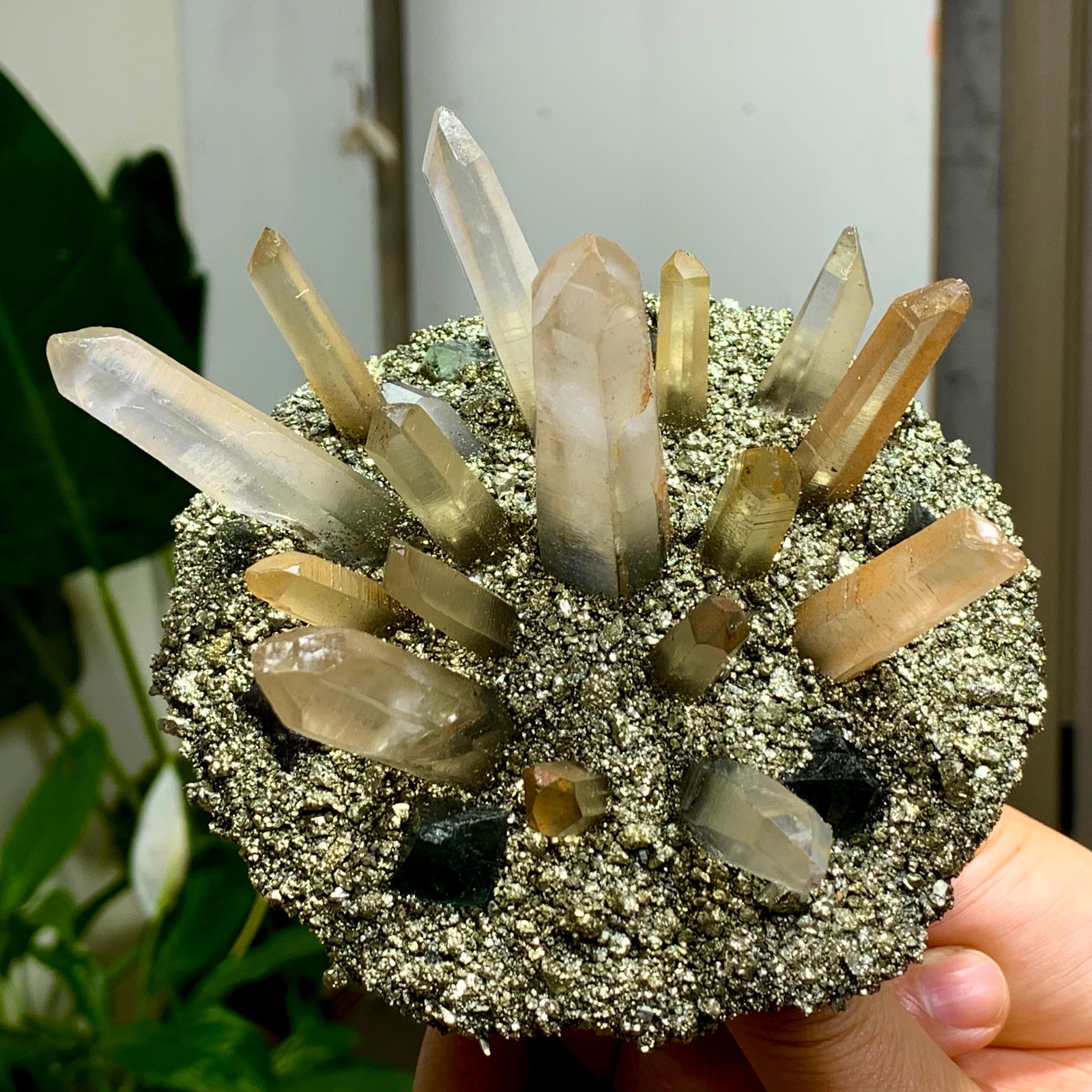 492G Coexistence of natural quartz and pyrite green fluorite crystal clusters