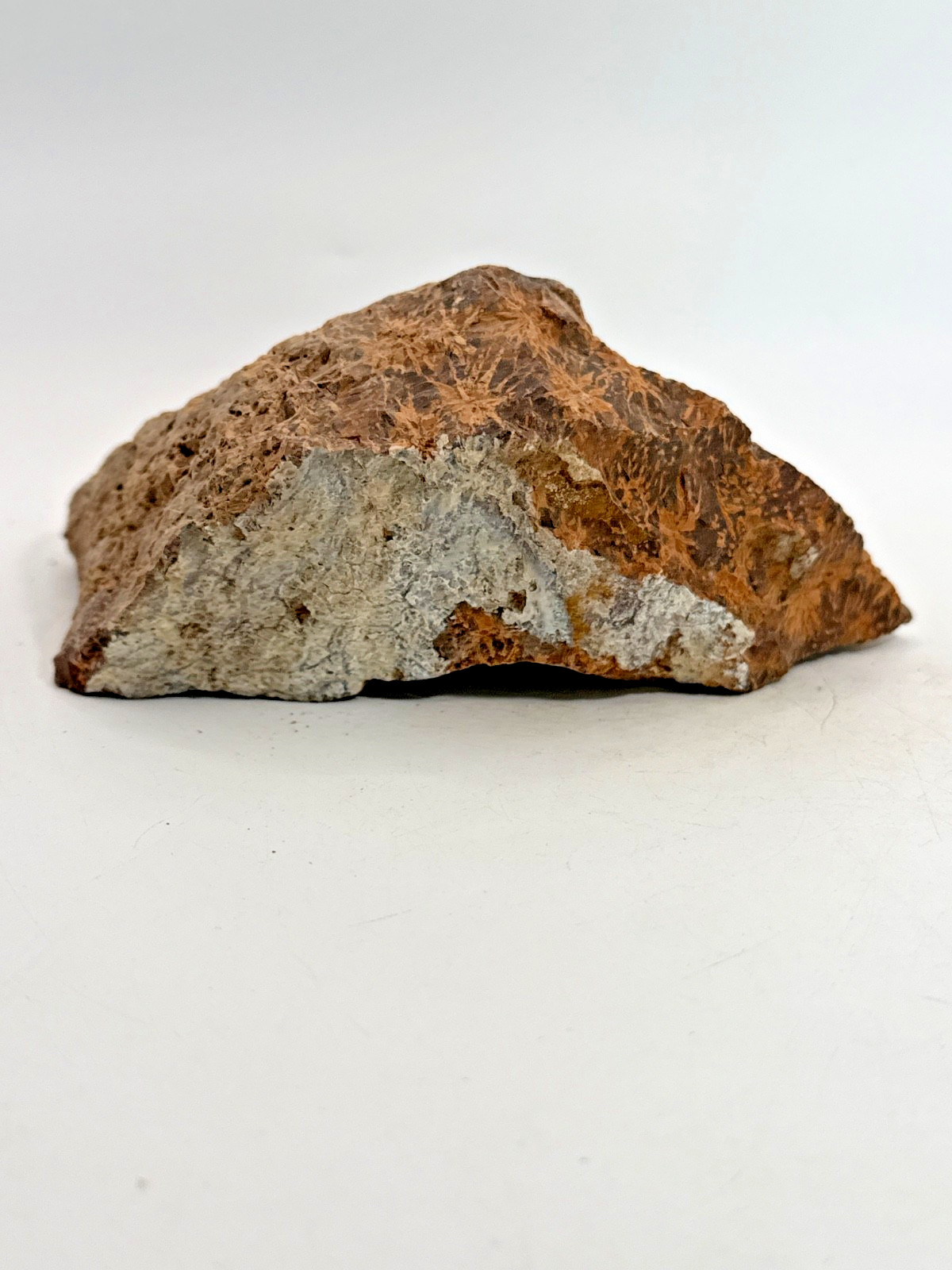 Beautiful Spider Jasper Chrysanthemum Specimen 529 Grams