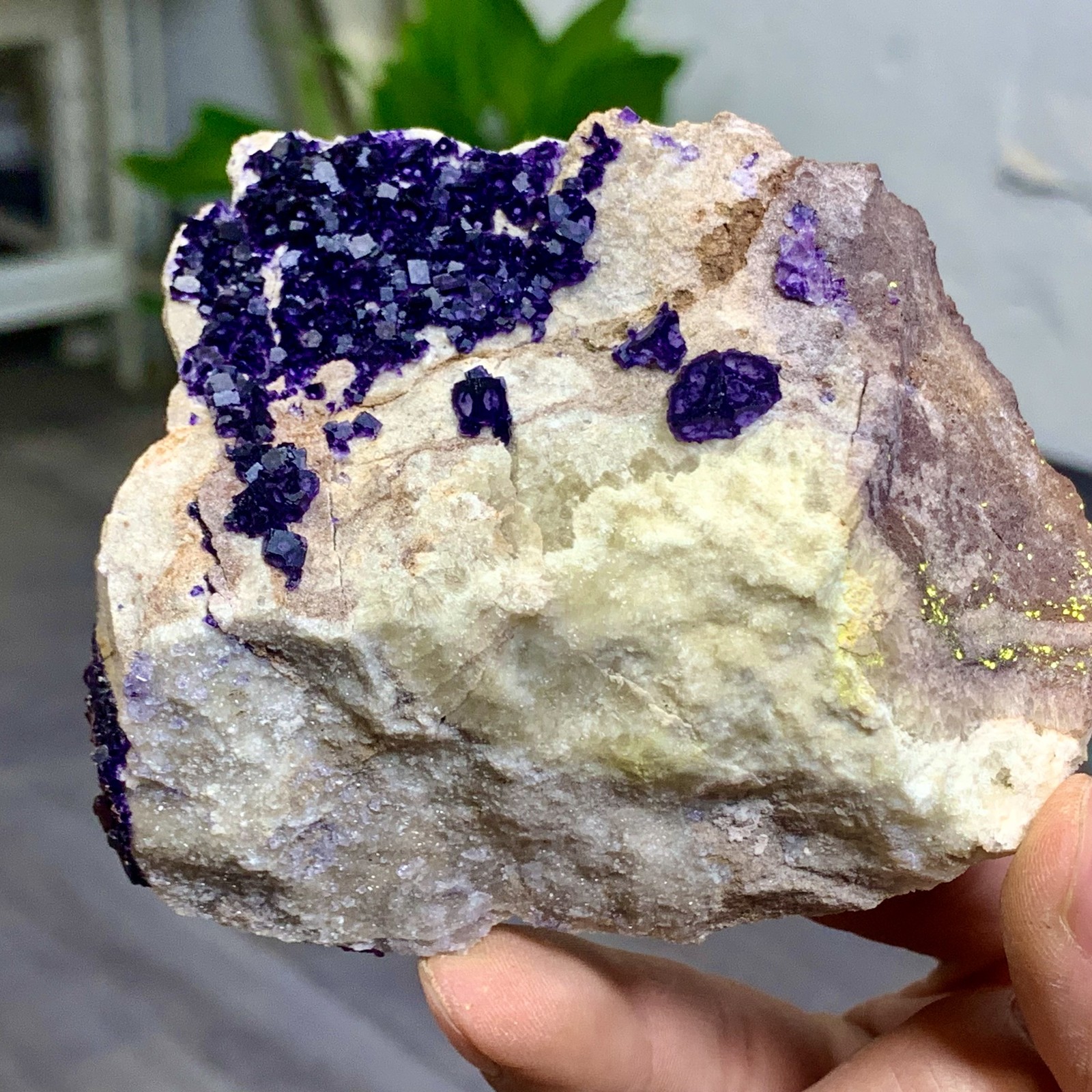 248G Rare transparent purple cubic fluorite mineral crystal sample/China