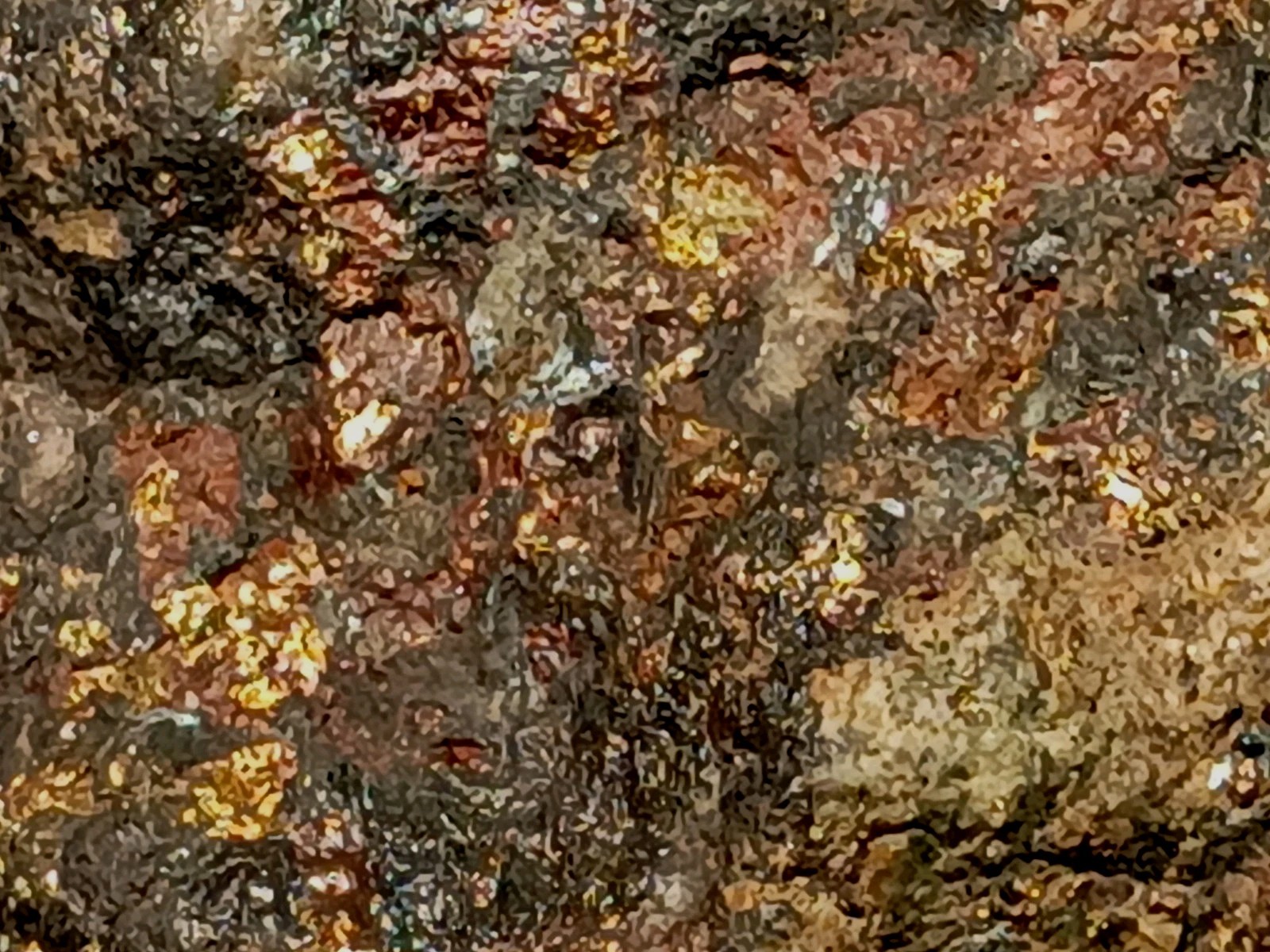 1420g Pilot Knob MO Amphibole Quartz Pyrite Magnetite Specularite Polished