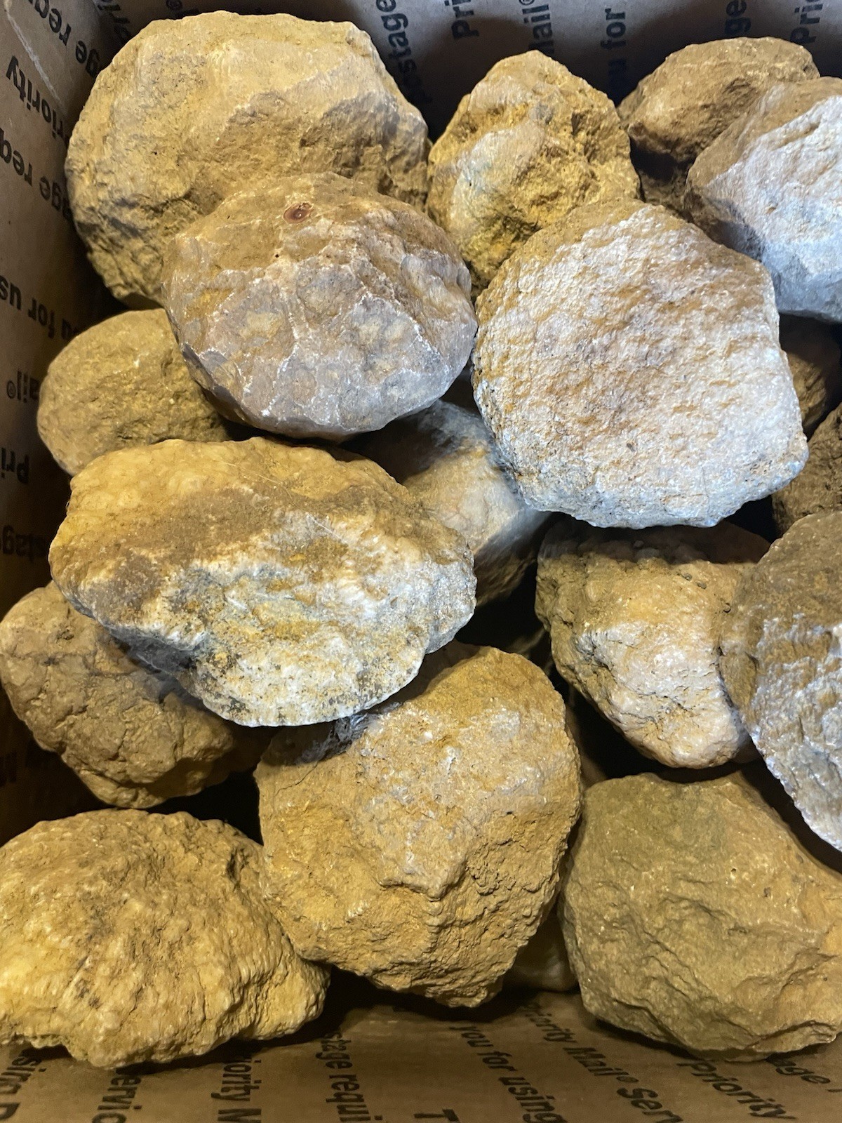 BOX OF KENTUCKY GEODES:45-2” TO 2 1/2” LAPIDARY!