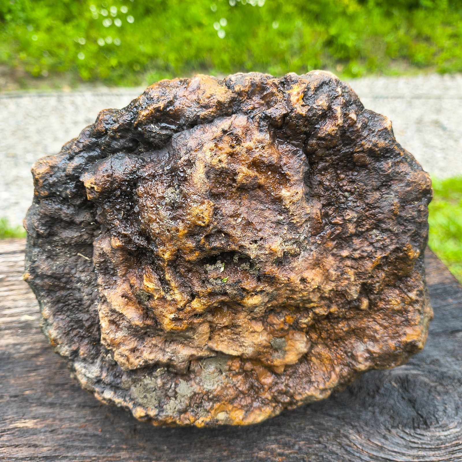 Large Kentucky Geode Natural Unopened Crystal Geode Collector Specimen