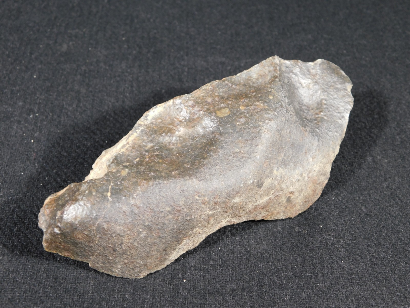 Classified NWA 8245 METEORITE Dark Crust and Regmaglypts! Erfoud, Morocco 298gr