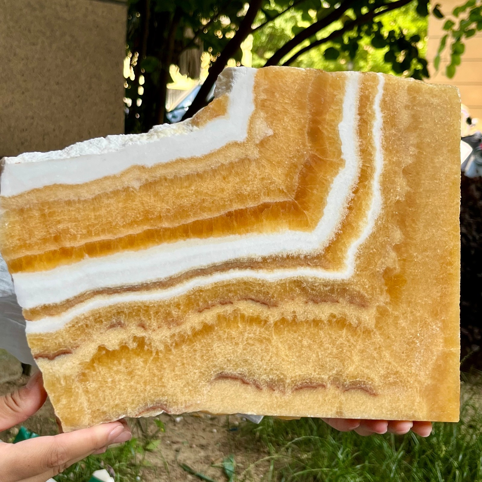 4.9 lb Natural Yellow Calcite Double Sided Polished Crystal Slab Raw