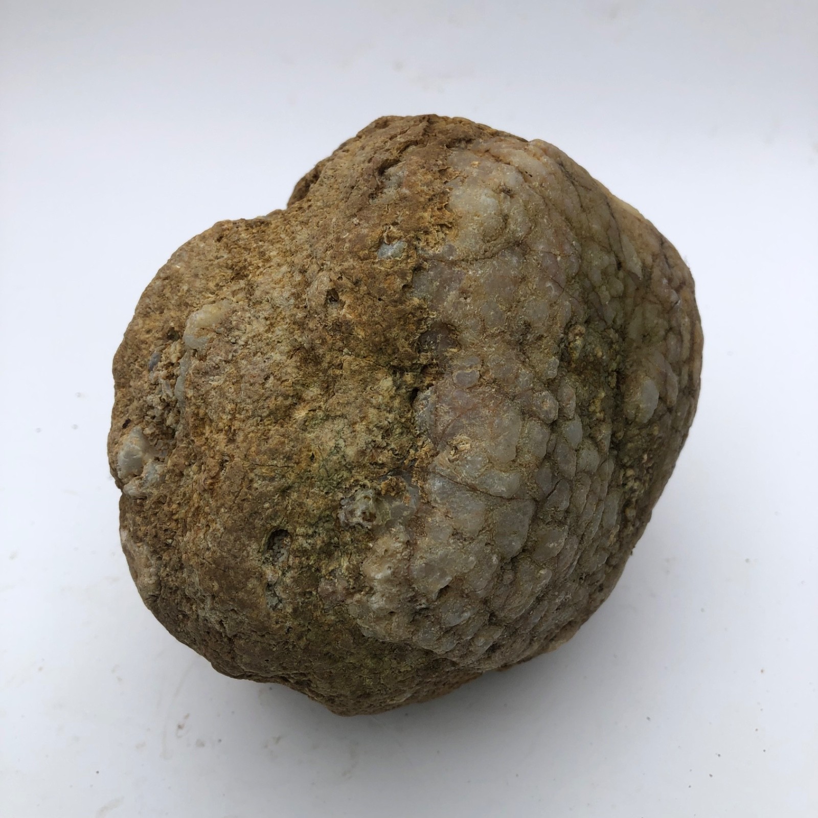 4 lb Unopened Kentucky Geode Rattler Break Your Own Hand Picked Natural Quartz