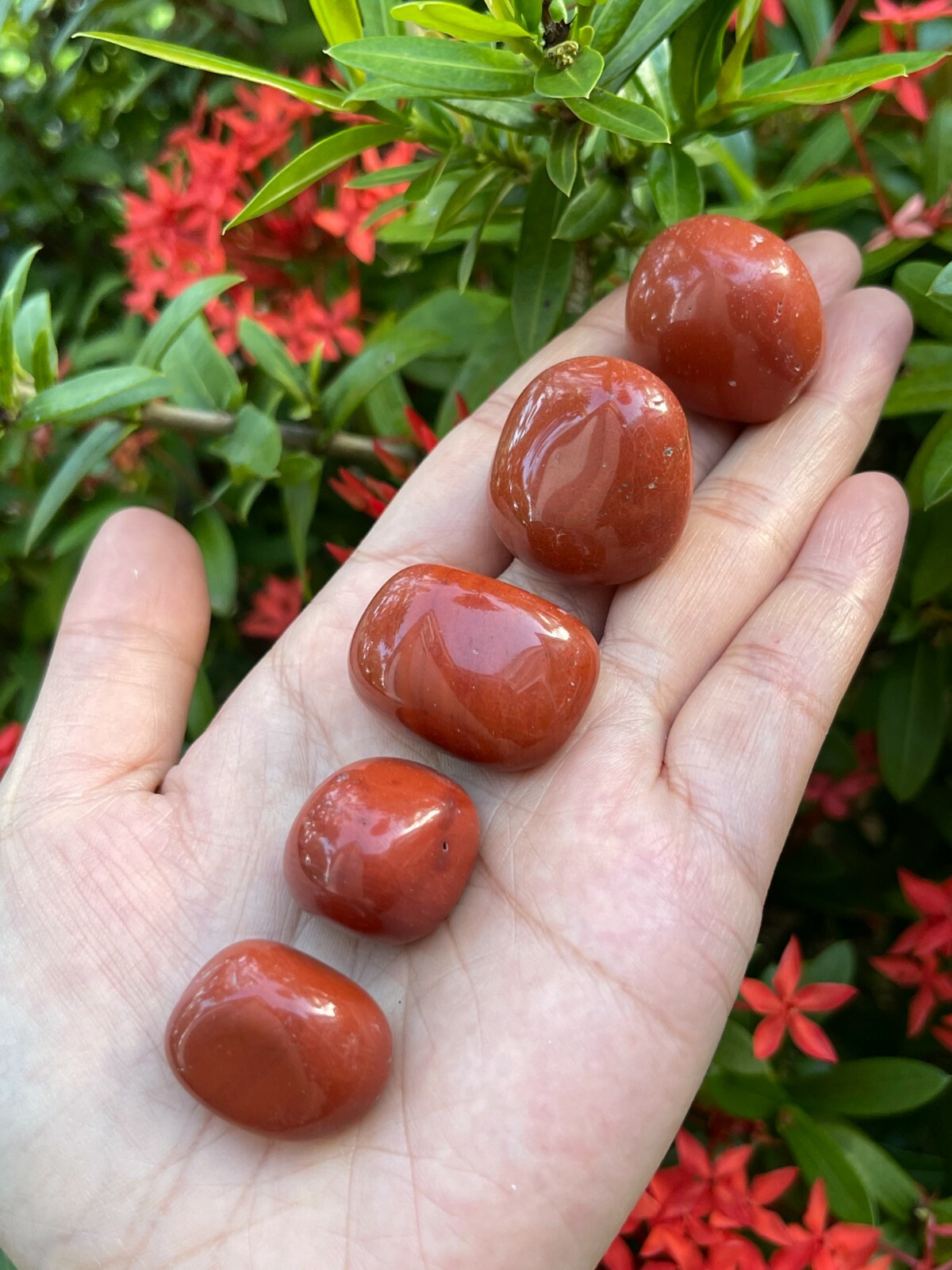 Grade A++ Red Jasper Tumbled Stones, 0.7″-1.25″ Tumbled Red Jasper,Pick A Weight