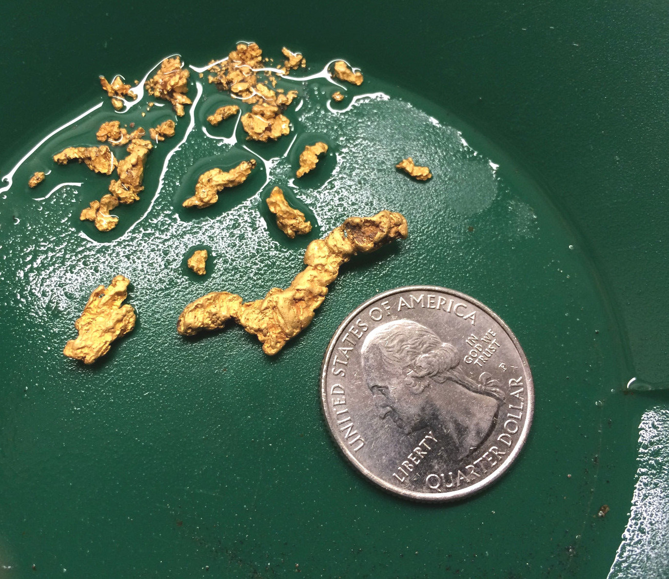 2 1/2 LB NUGGET RESERVE Gold Panning Paydirt Concentrate – Guaranteed Gold
