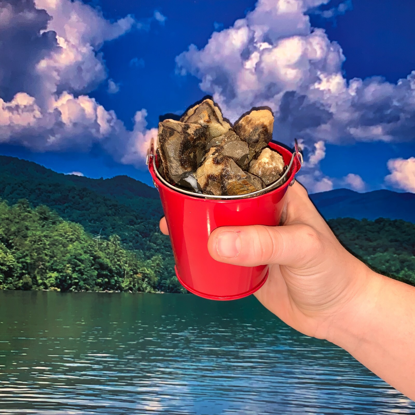 Bucket Full of Septarian Rough + FREE faceted gemstone – Pick Bucket Color