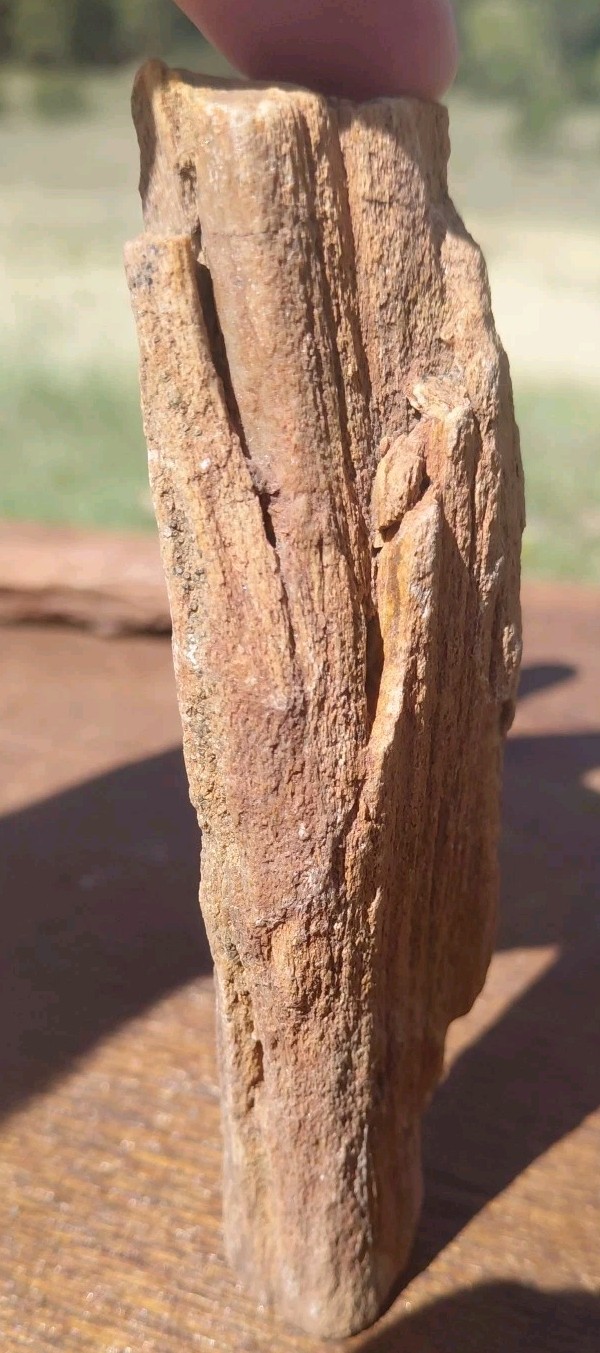 Petrified Wood Fossilized Twisted Branch Bark Druzy Quartz 1/4Lb – 4 1/2″×1 1/4″