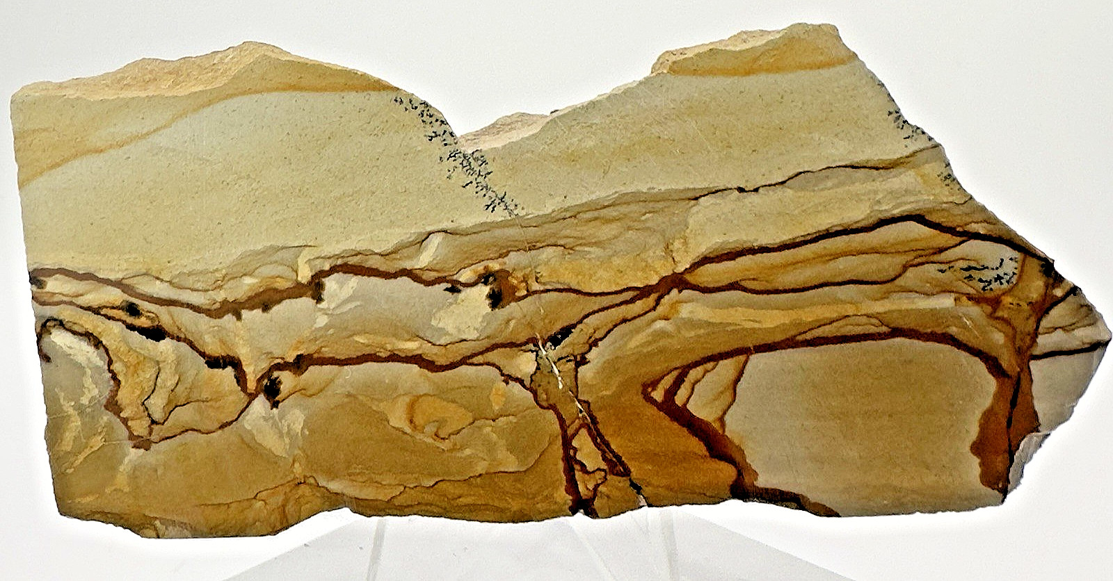 4) Rare Polished Ohwlee Picture Jasper Slab 5″ Display Specimen 5.80 oz
