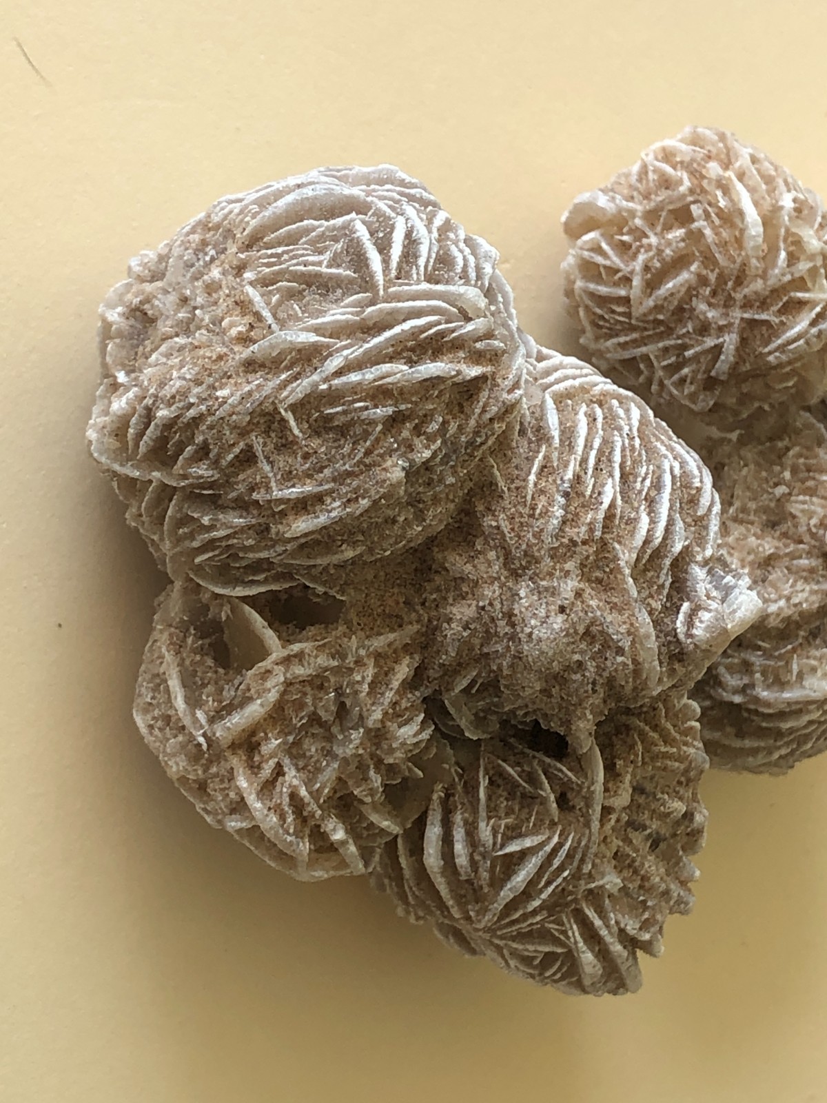 DESERT ROSE SELENITE GYPSUM Crystal Cluster Mineral Specimen 170.6 Grams For All
