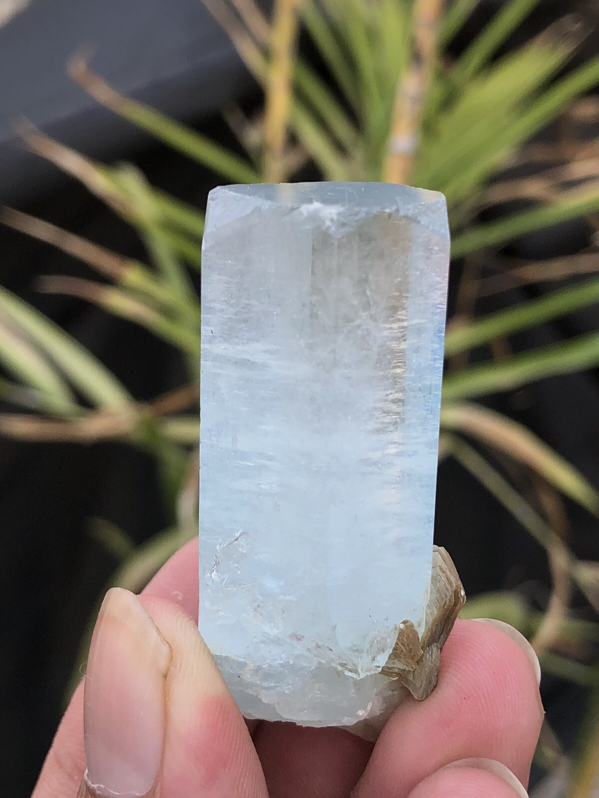 38.9 Amazing Top Class Aqumarine Crystal Natural DESIGNED shigar Pakistan