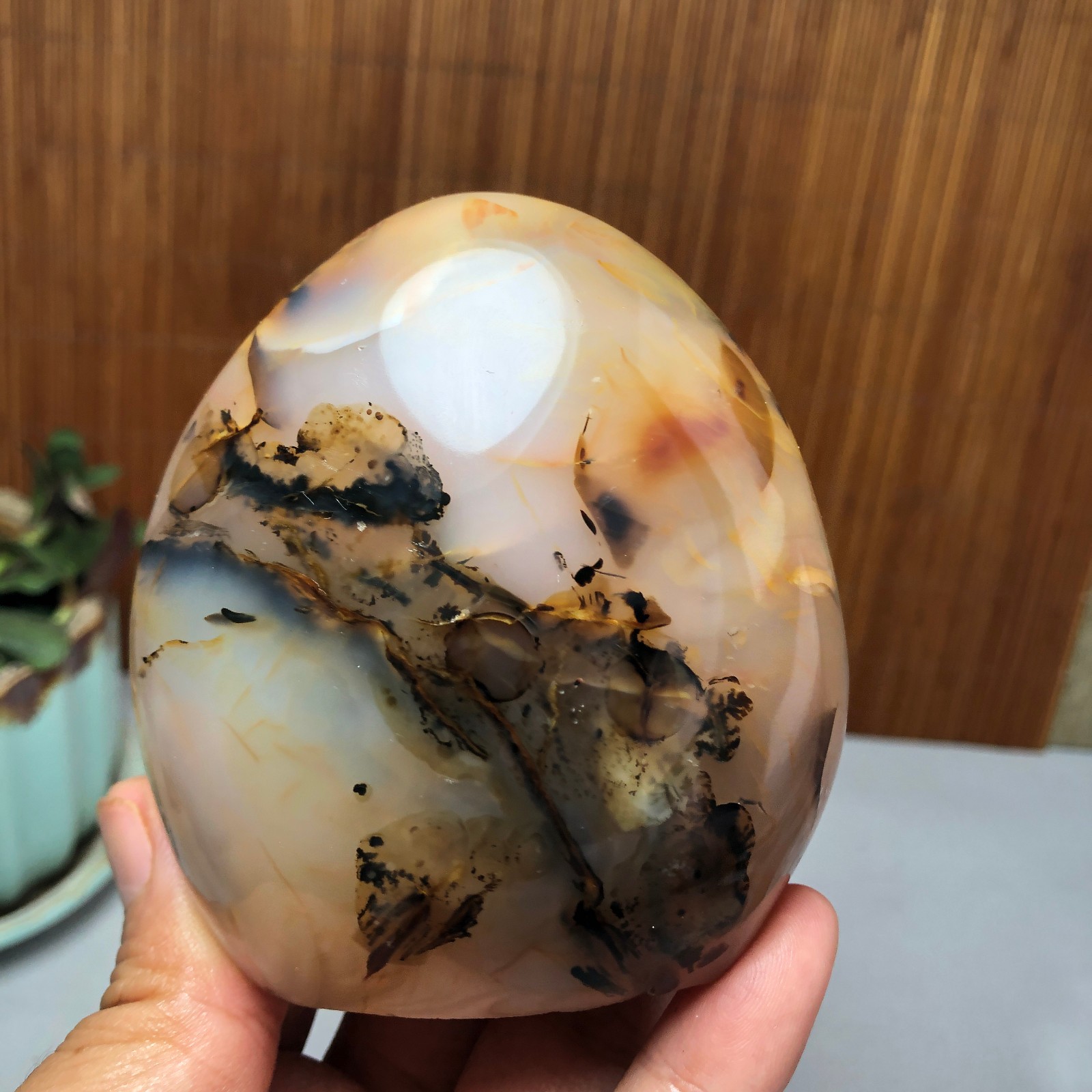 Natural aquatic plants agate pretty Crystal specimens free standing 331g A9998