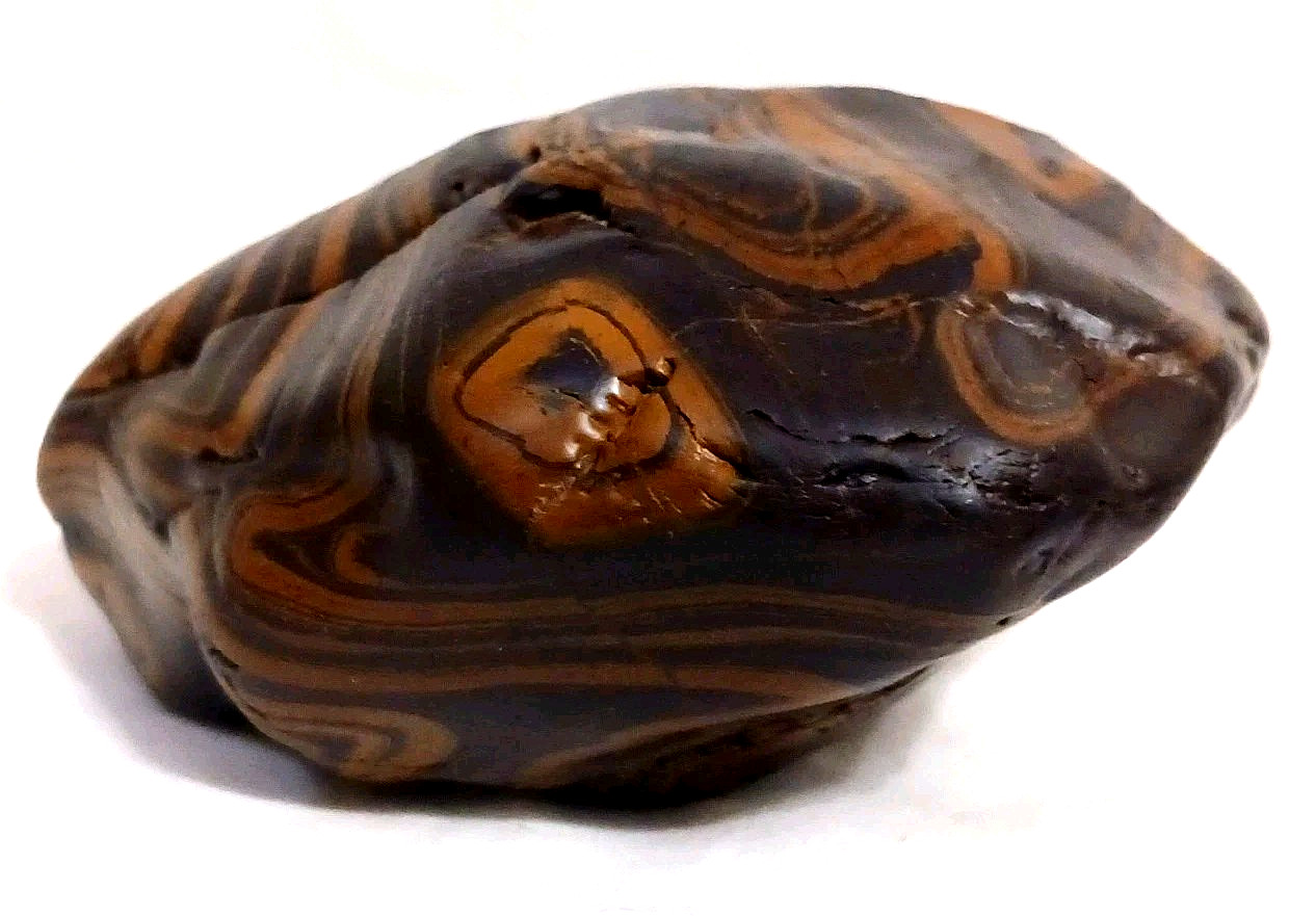 Rare Wyoming Banded Iron Formation BIF Display Rock Cut & Polished Display Tiger