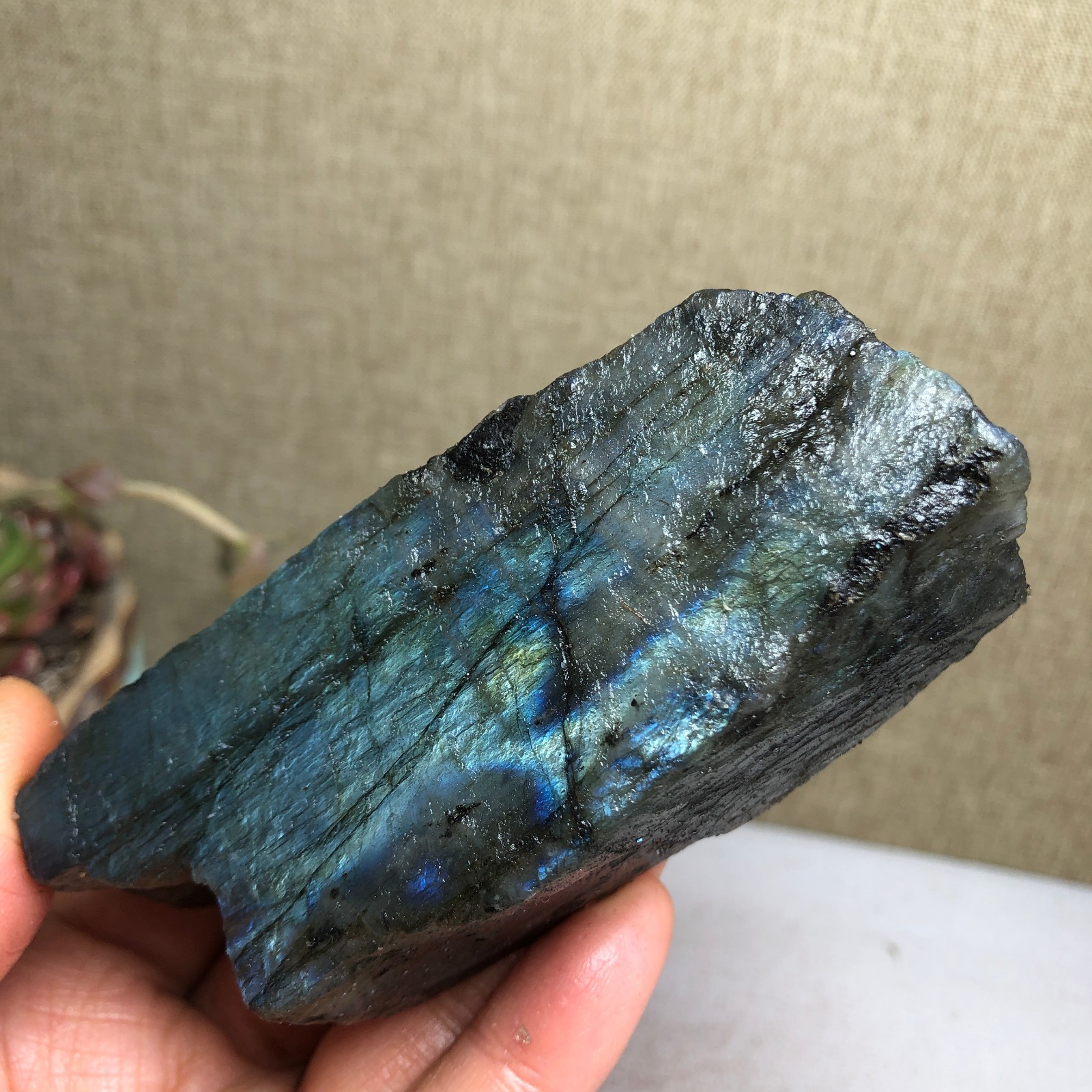 92-34-36mm Natural Labradorite Crystal gemstone Rough Mineral Specimen A4418