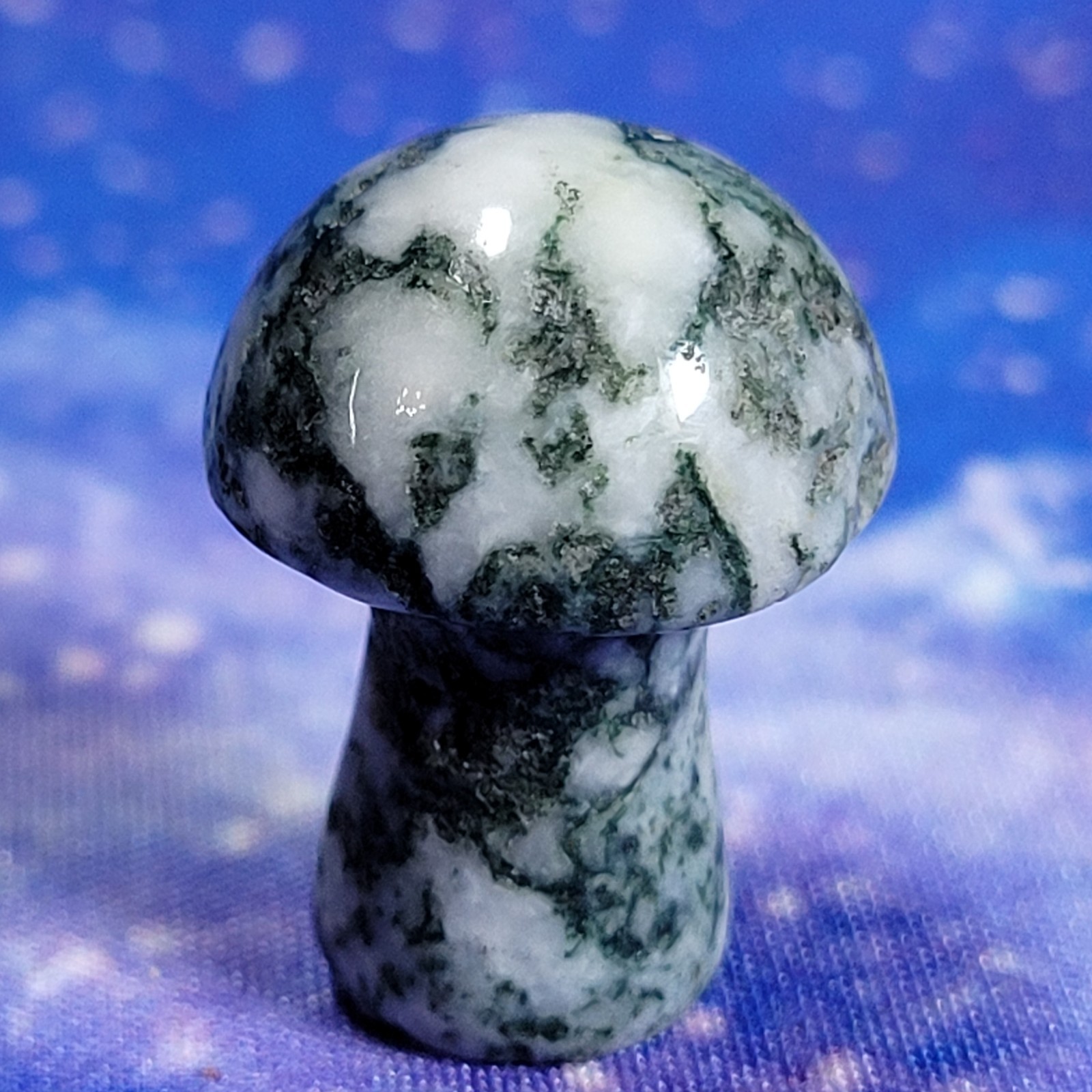 3 Magic Mushroom Carvings: Moss Agate/Picture Jasper/Serpentine 20mm w/Display