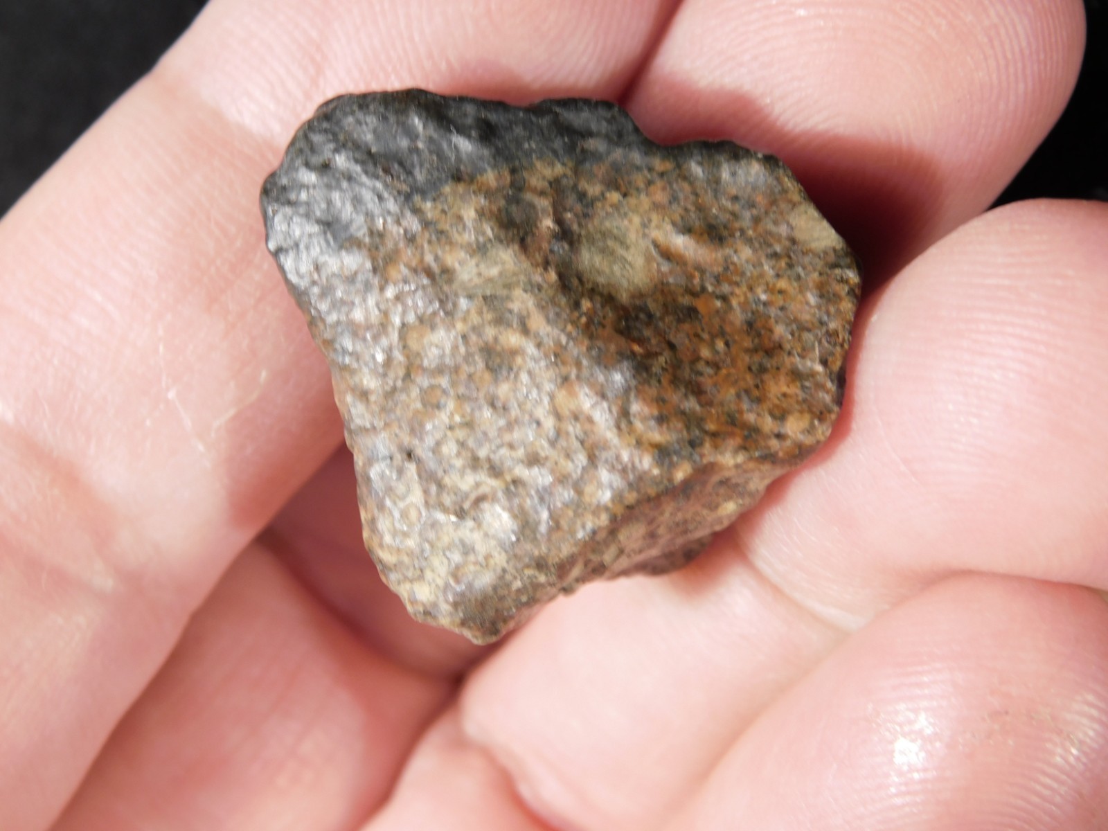 Small Stony METEORITE With Dark Fusion Crust 100% Natural Fell in Libya 16.7gr